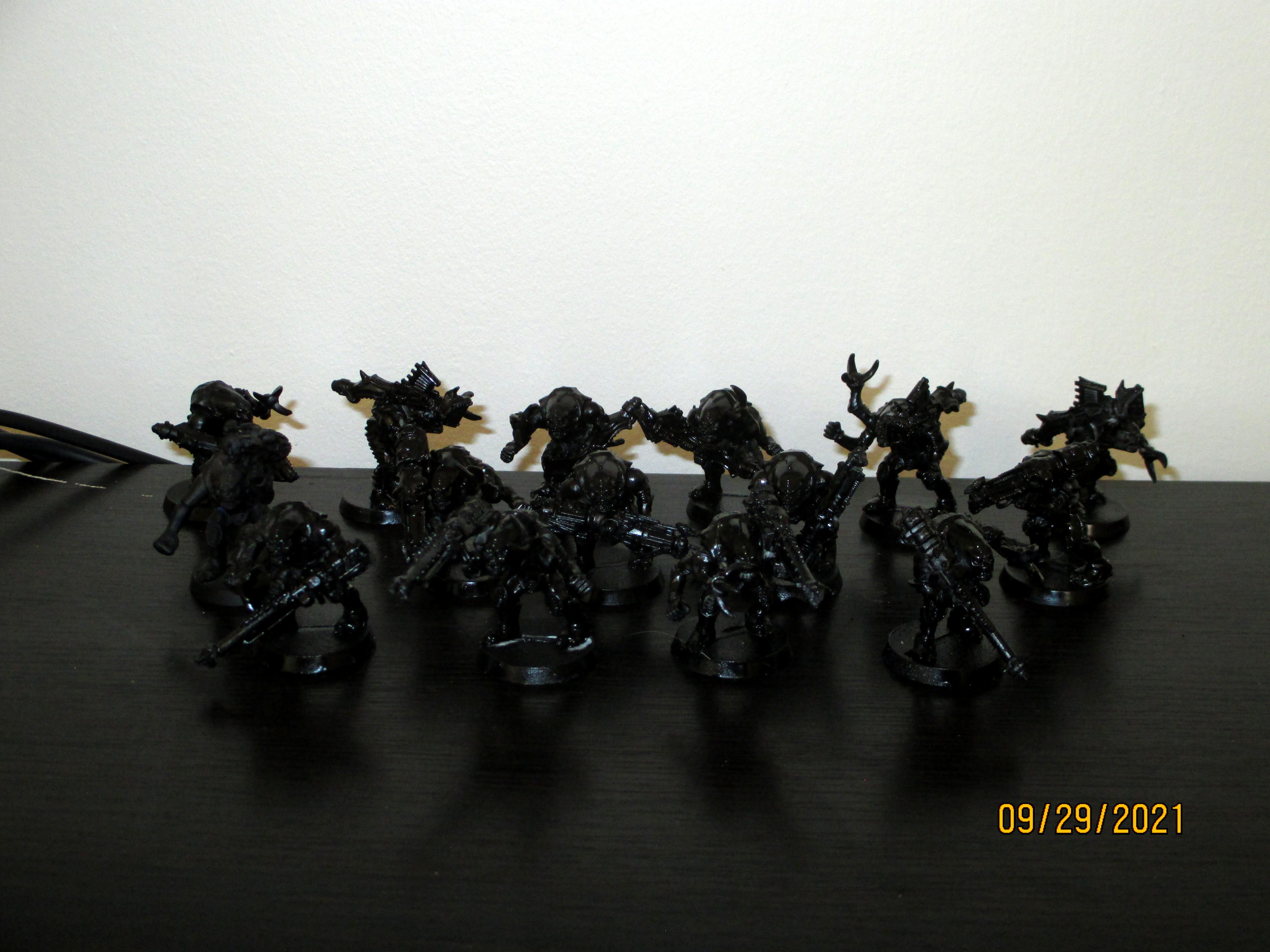 Genestealer Cult, Gsc
