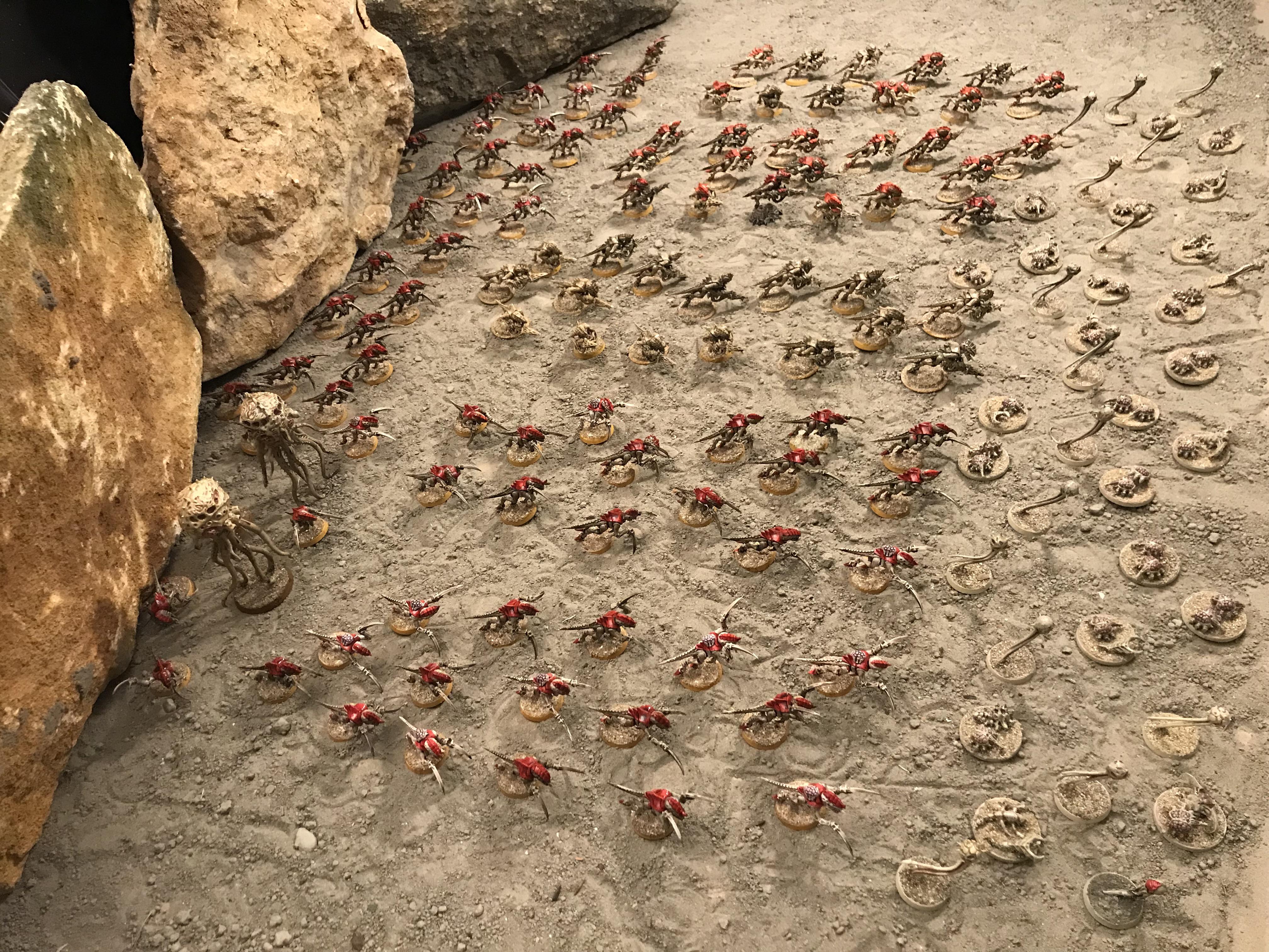 Tyranid hyrd Evilcenn 