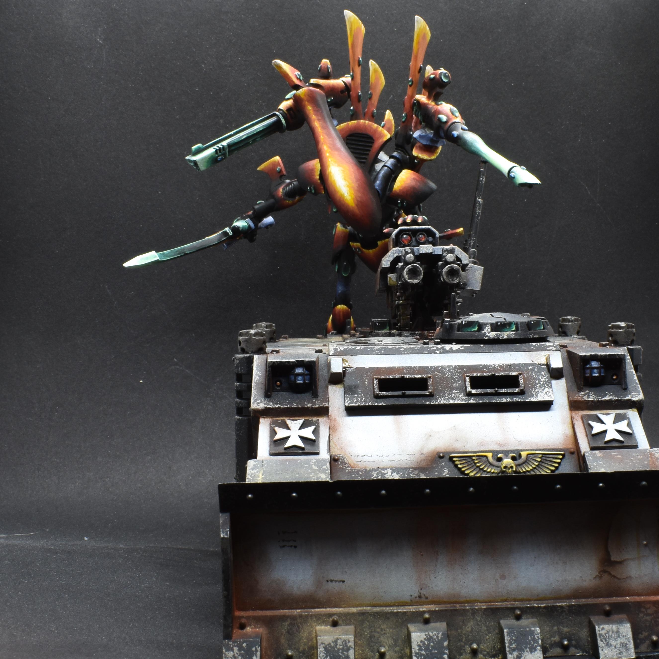 Aelderi, Eldar, Peeckaboo3