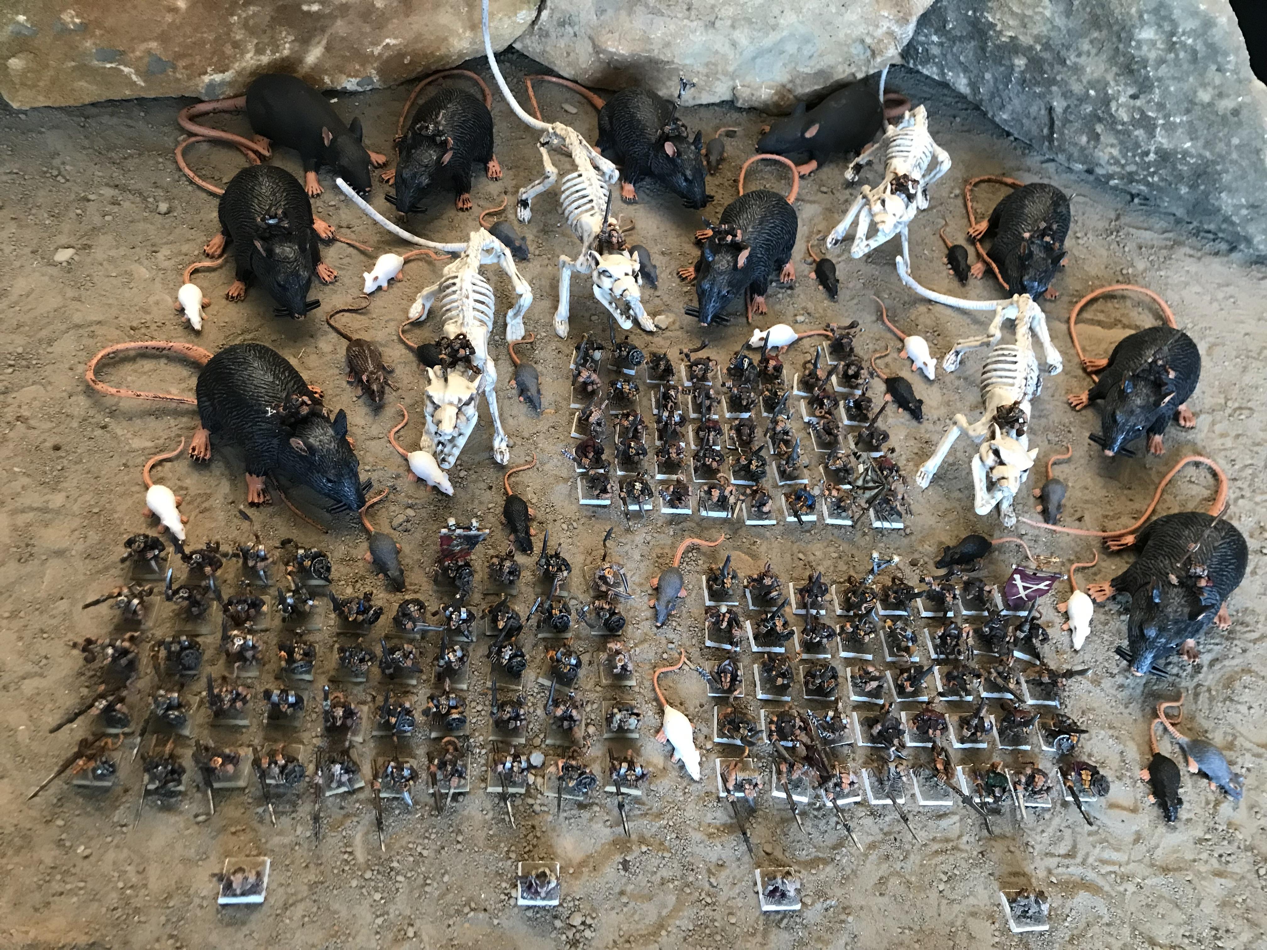 Skaven hyrd Transumens