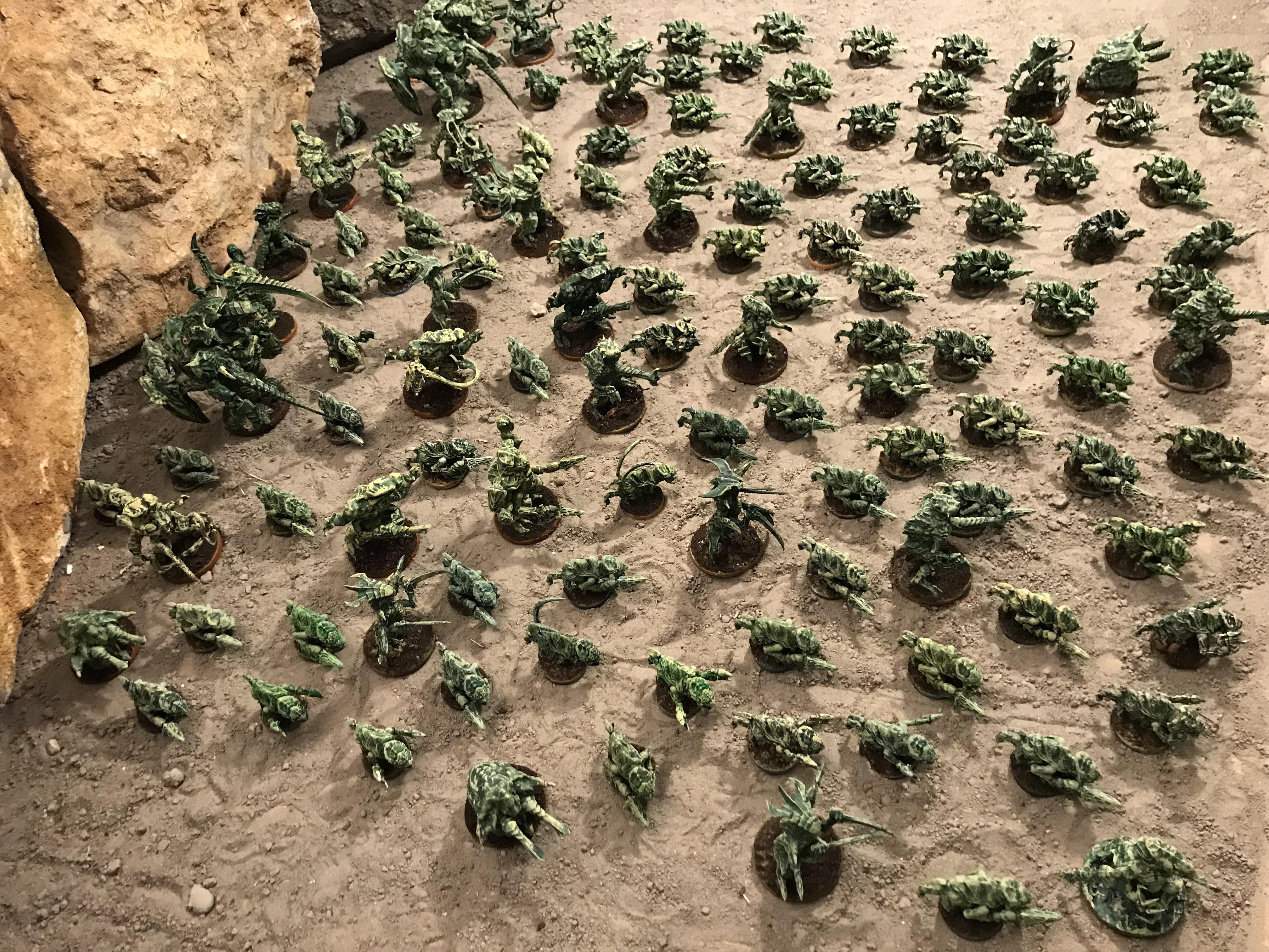 Furianids from CanoppE