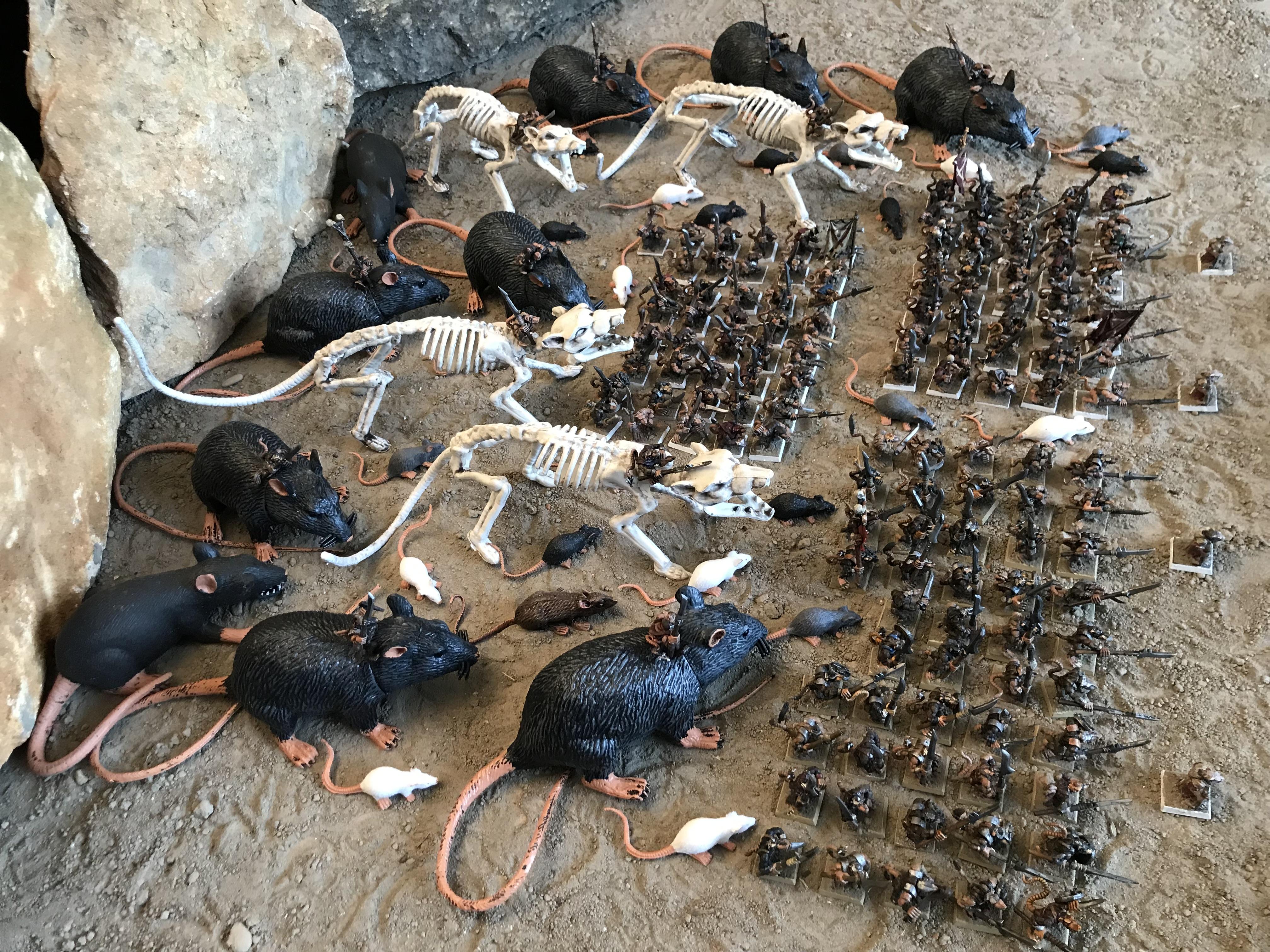 Skaven hyrd Transumens