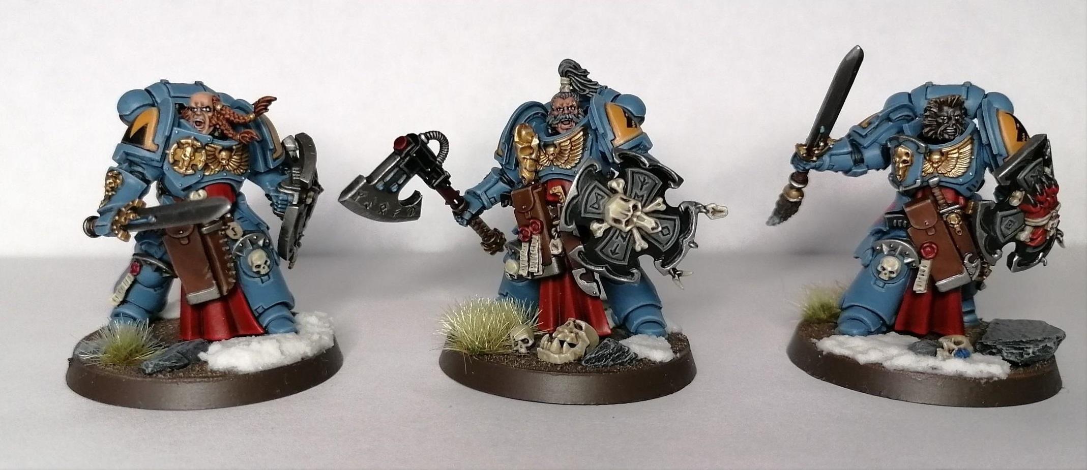 Painted, Space Wolves, Warhammer 40,000, Wolf Guard