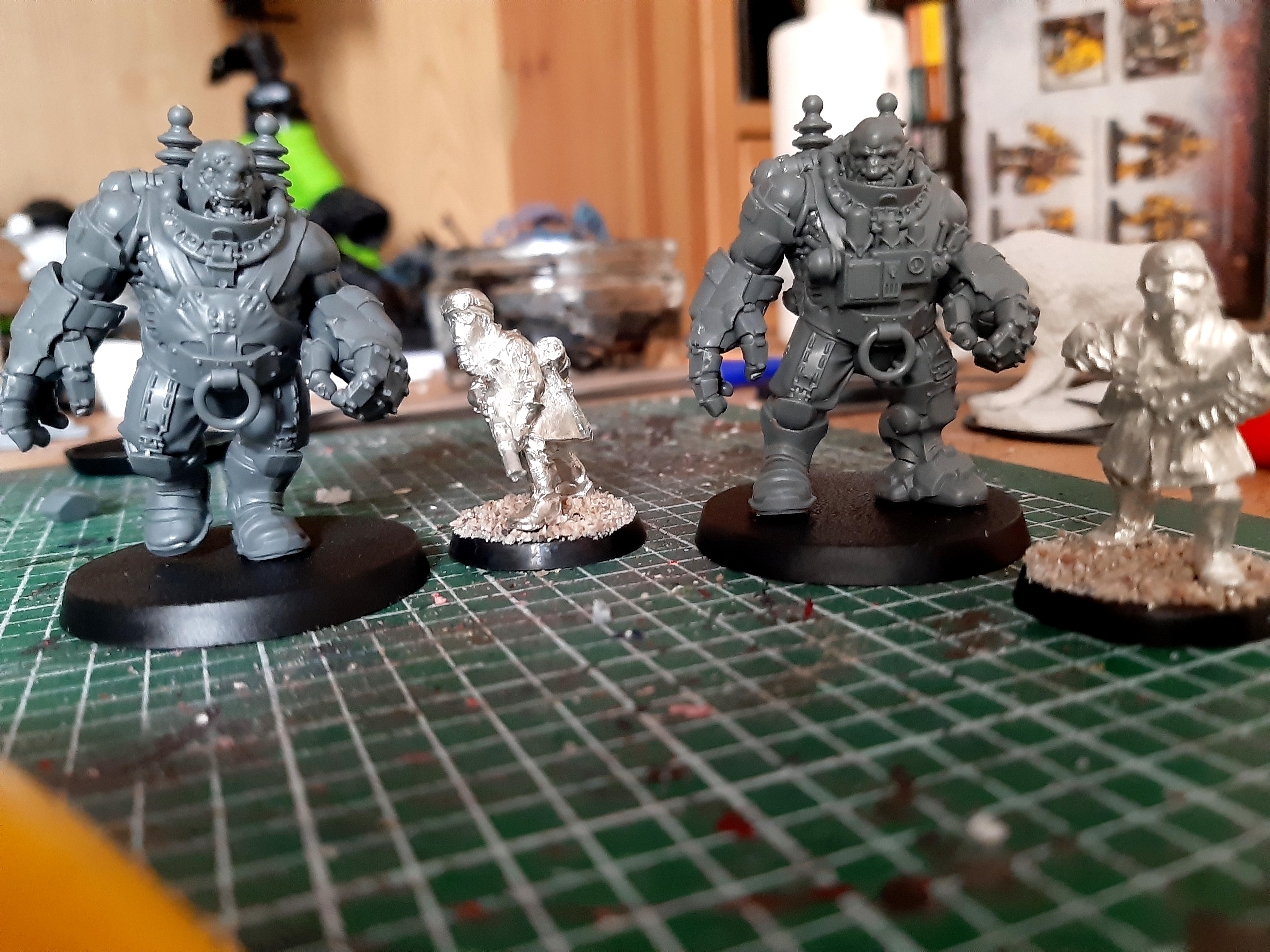 Ogryns