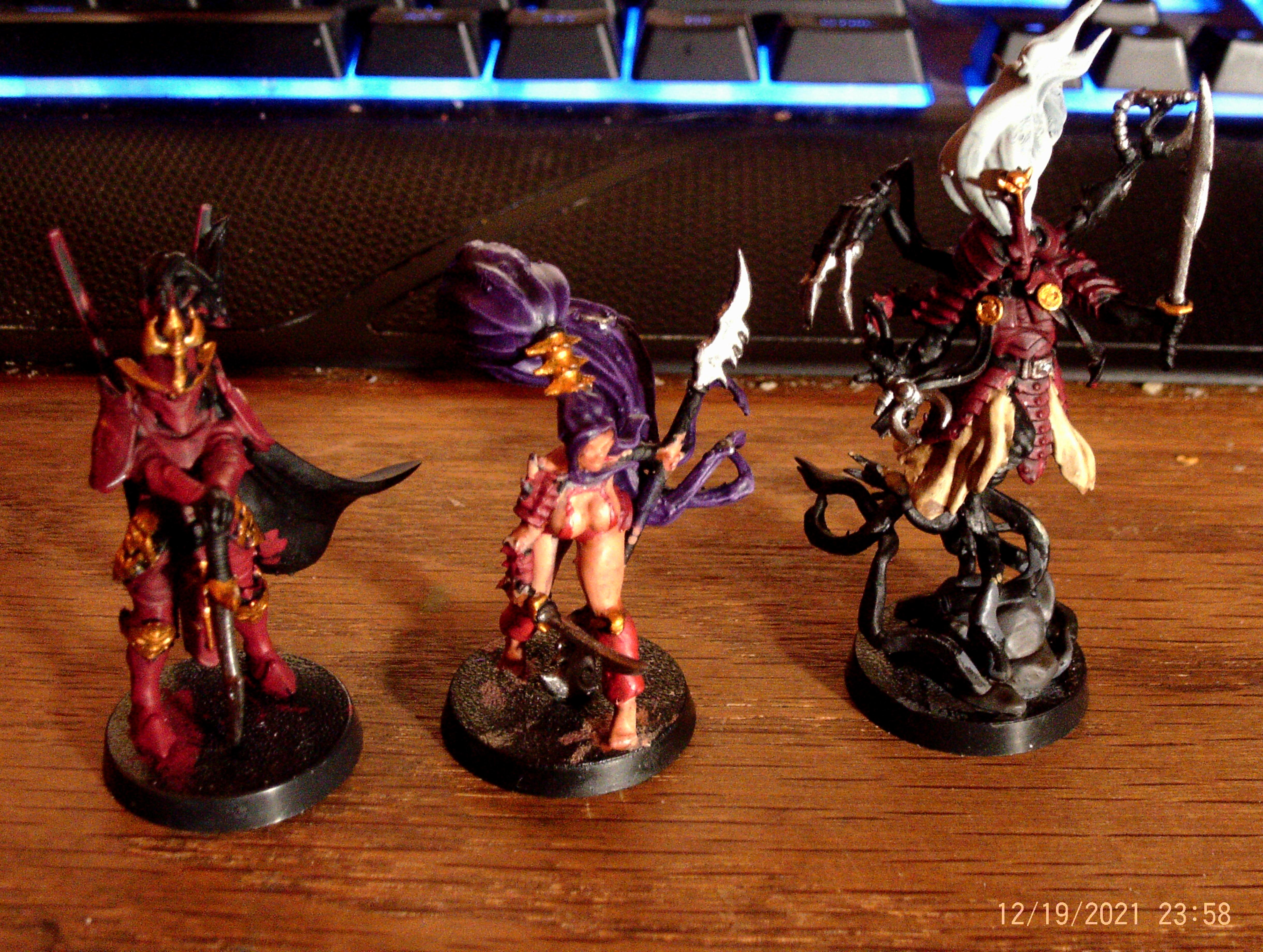 Drukhari Leaders WIP 1