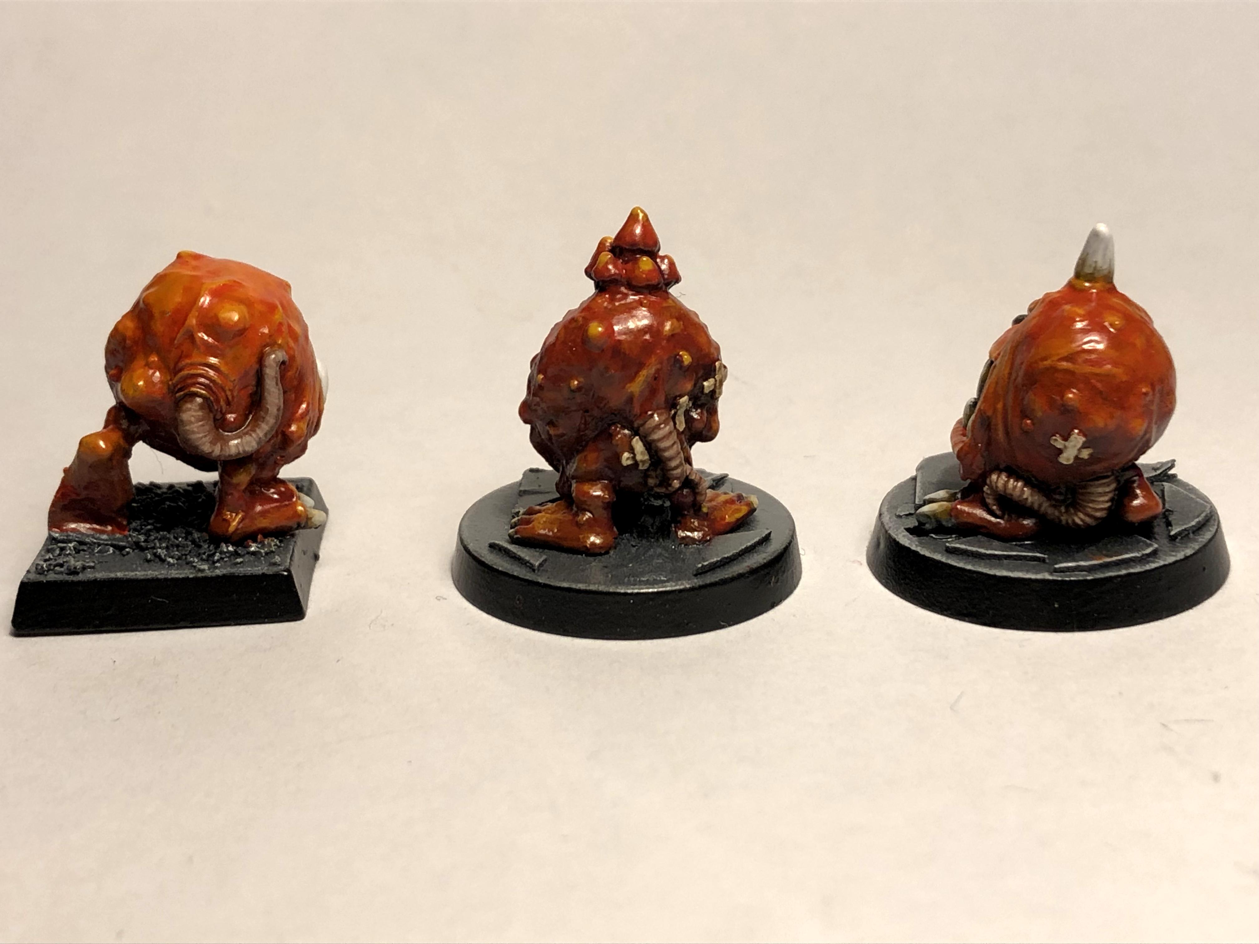 WHQ Squigs 2