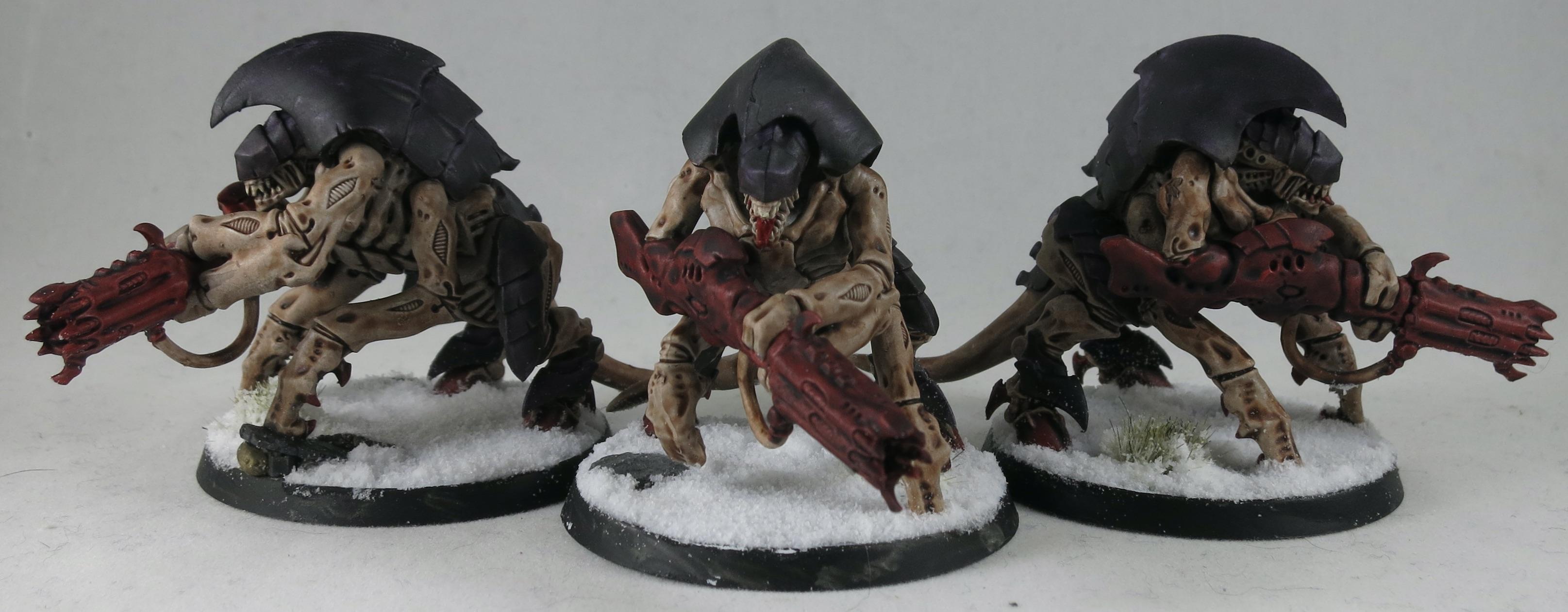Hive guard