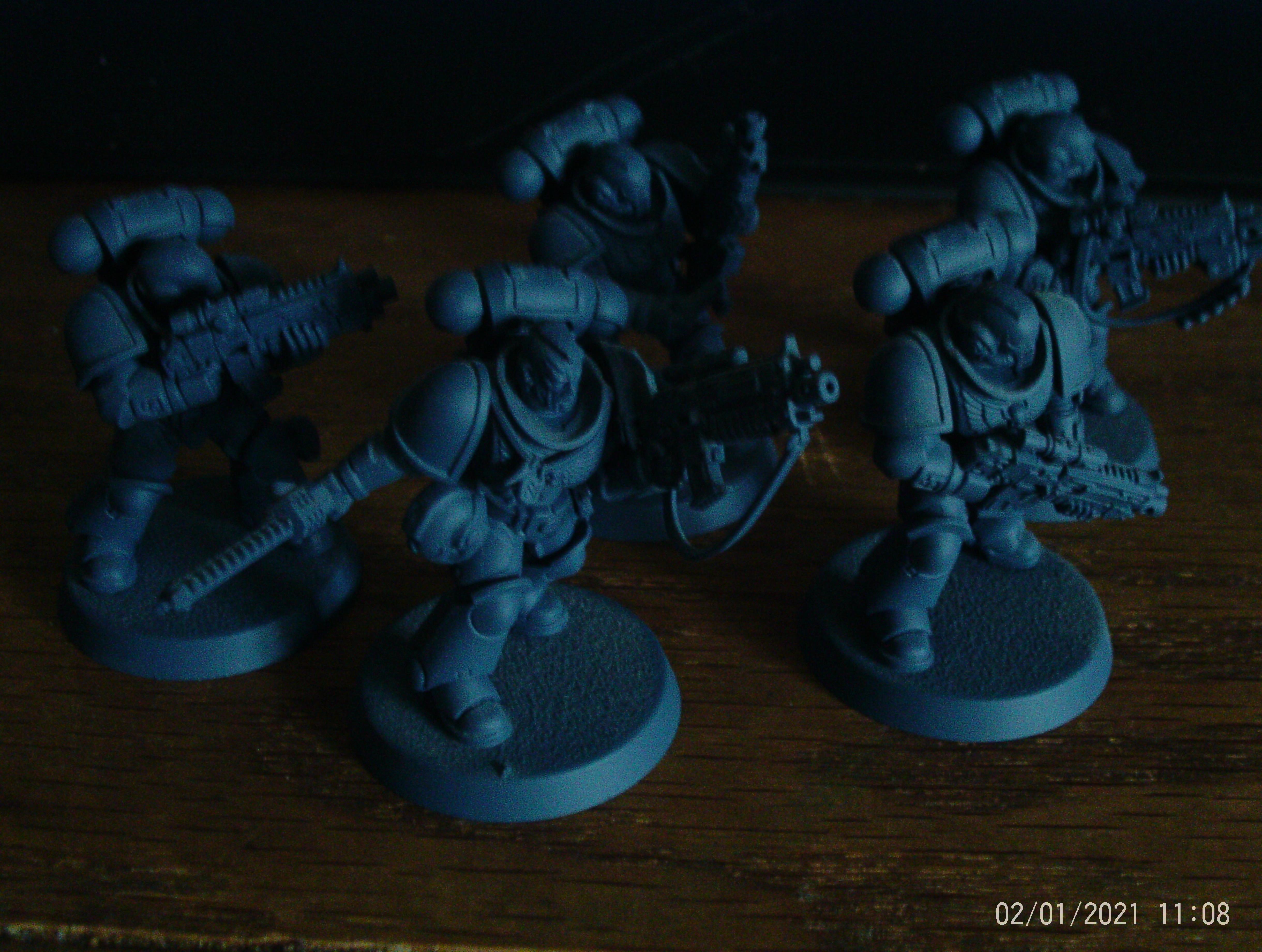 Space Wolves Intercessors Primed