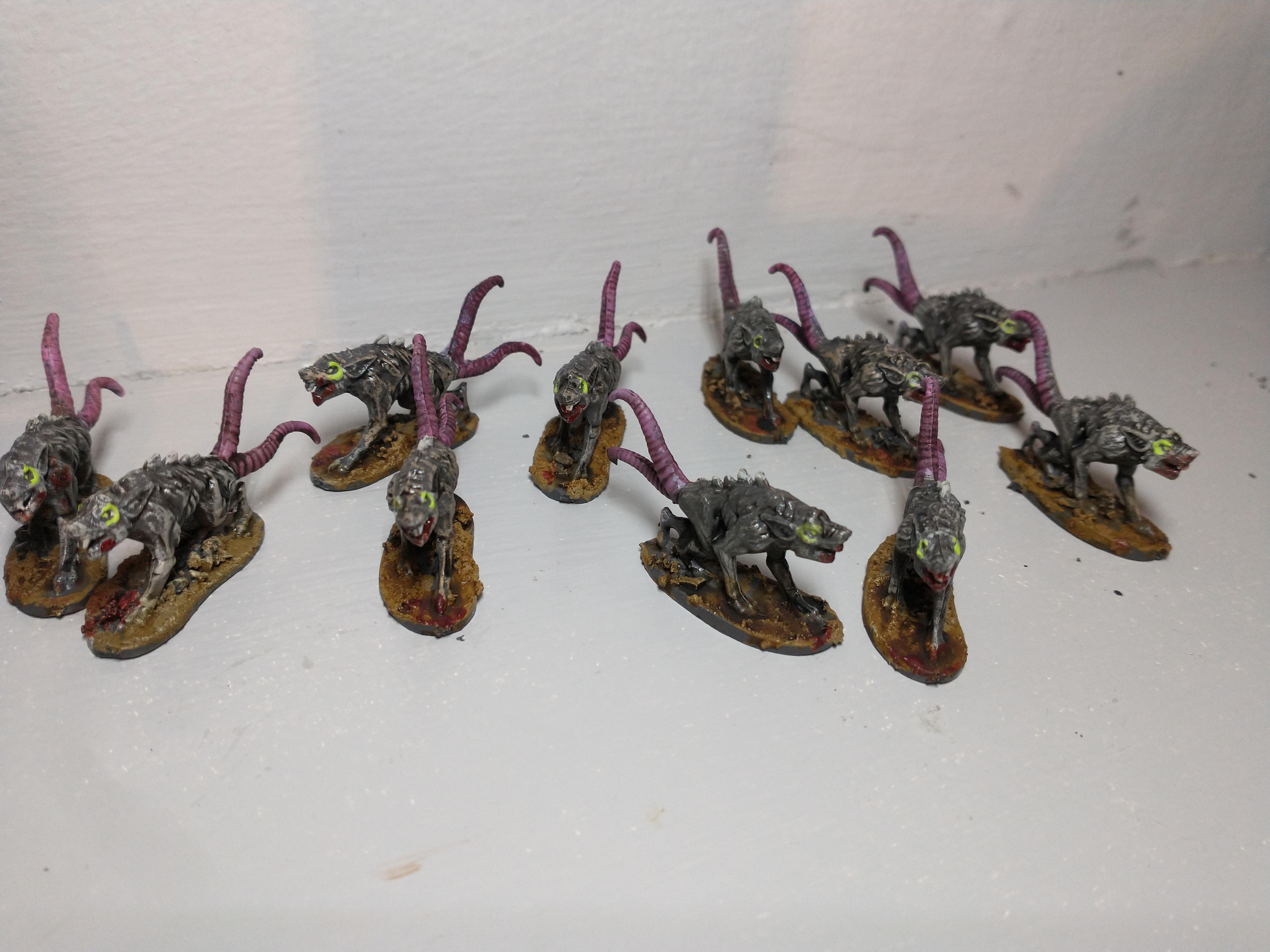 Scourge Rats