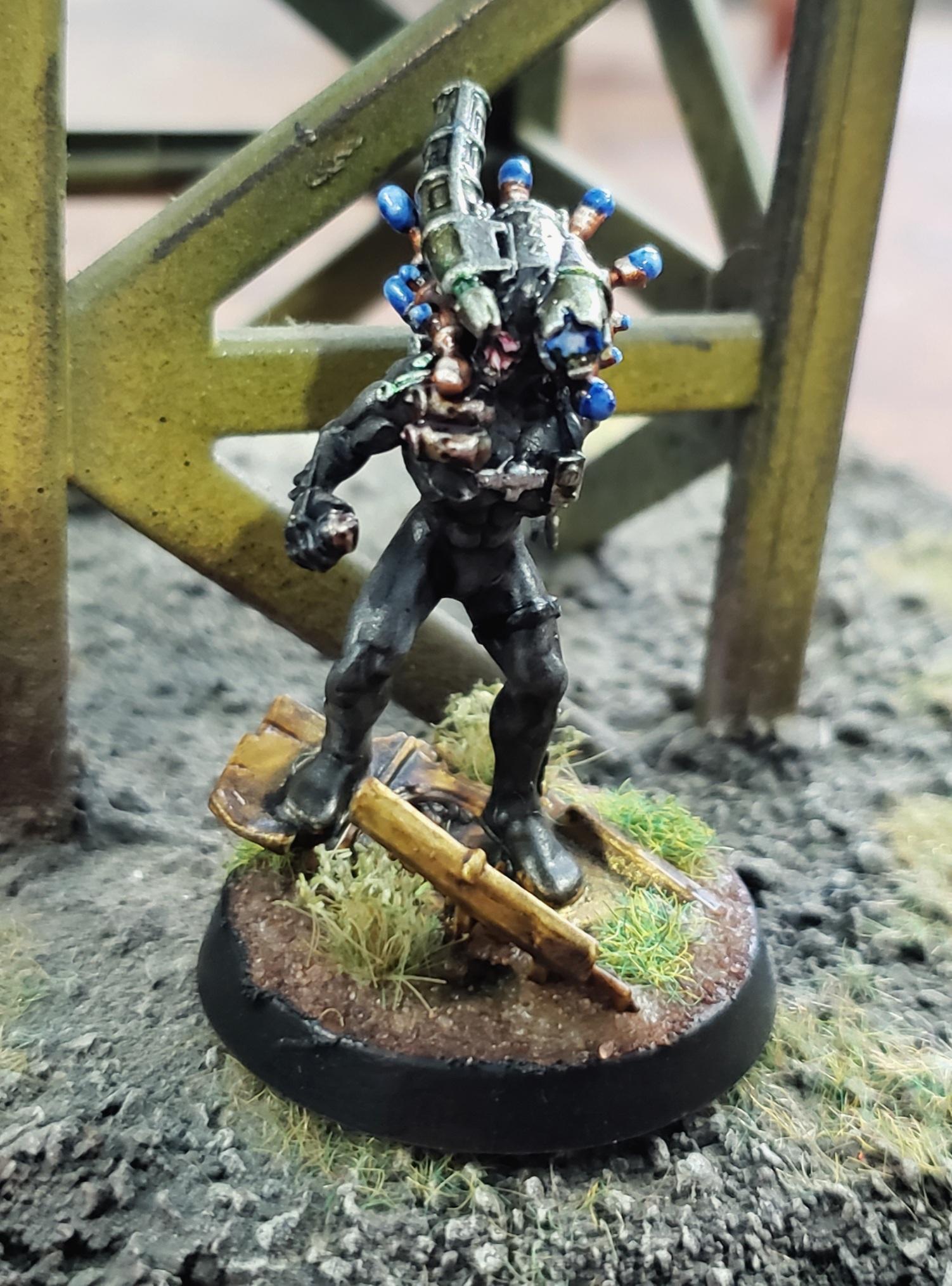 Culexus Assassin