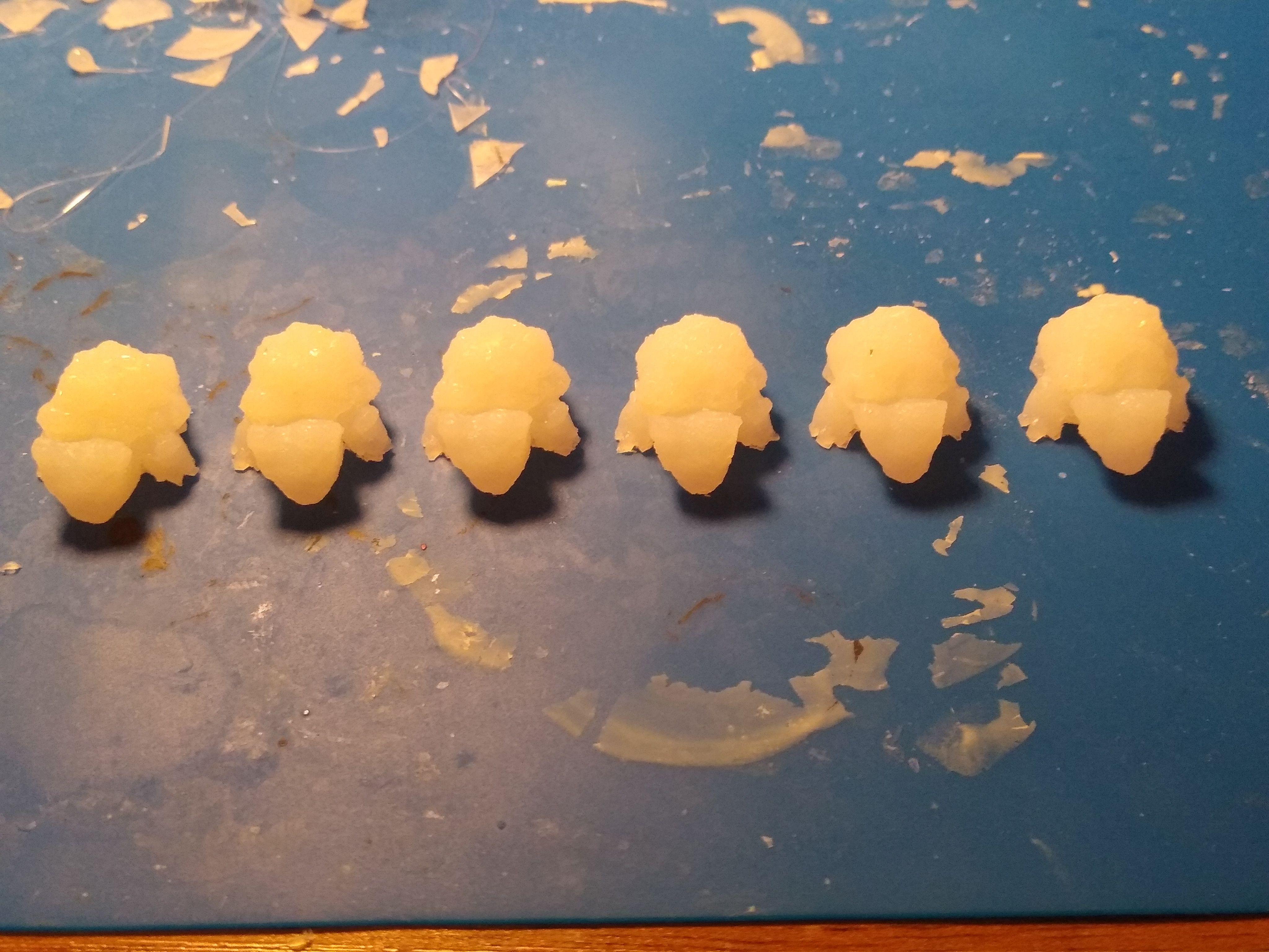 rock turtles
