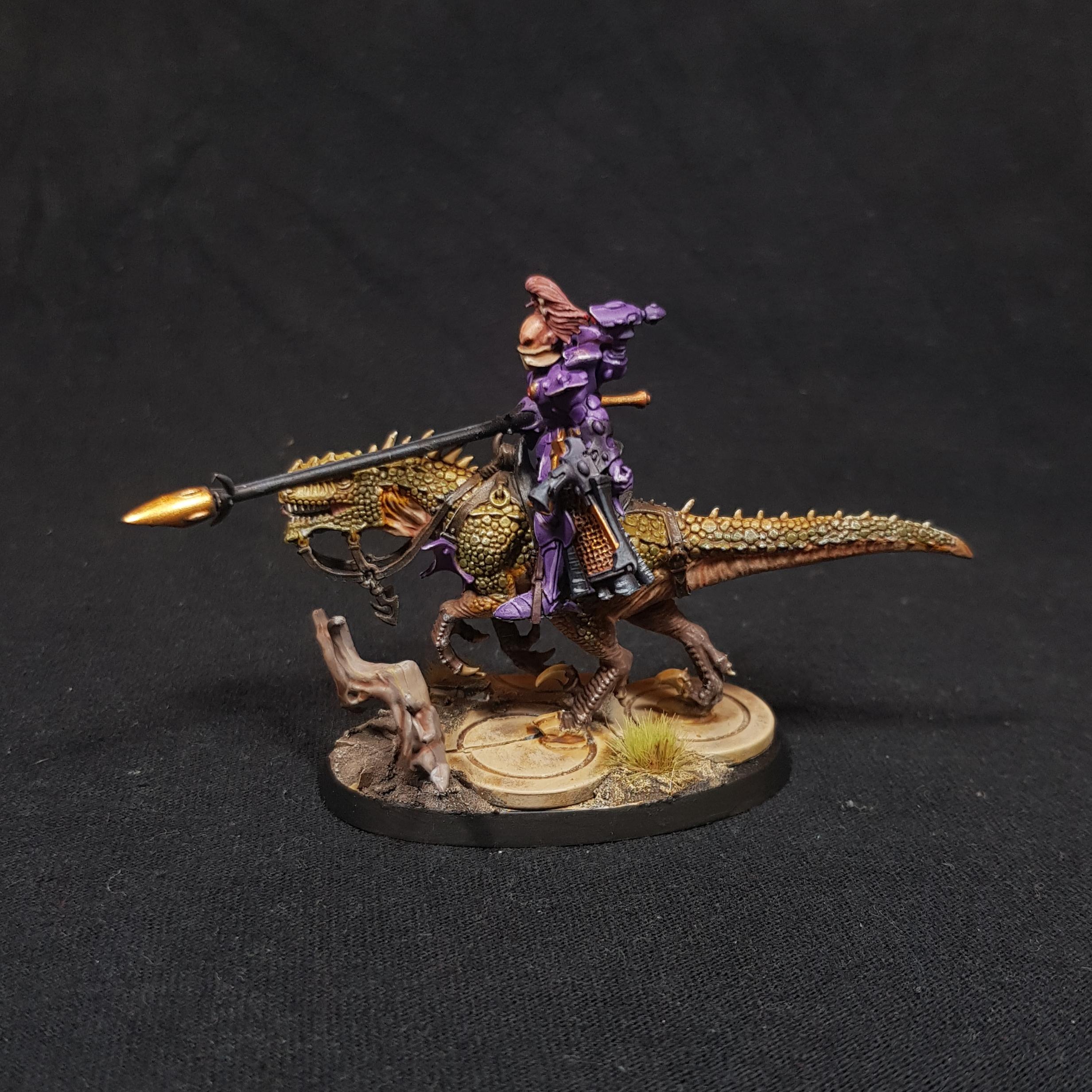 Aeldari, Conversion, Dragon Knights, Eldar, Exodites, Knights, Shining Spears