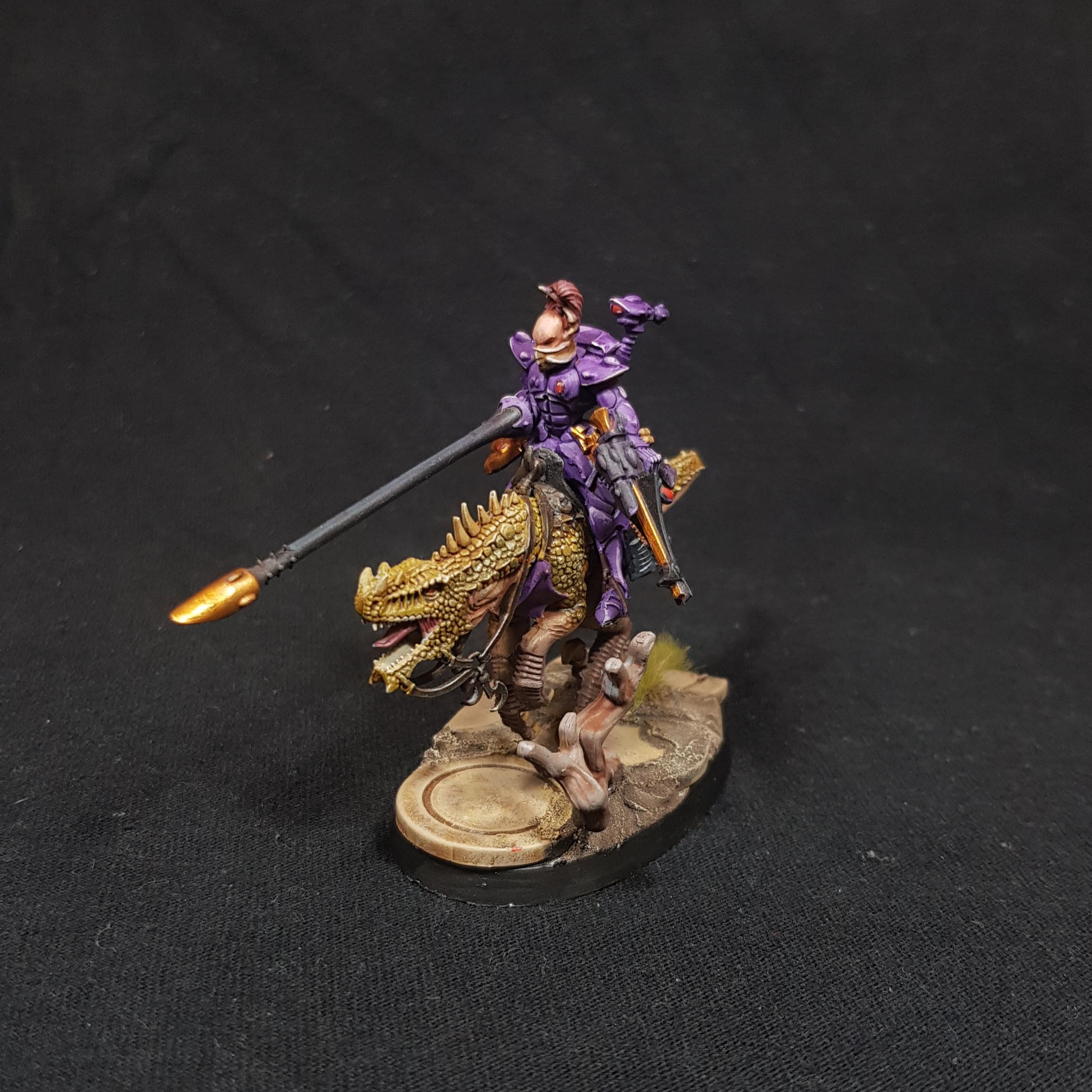 Aeldari, Conversion, Dragon Knights, Eldar, Exodites, Knights, Shining Spears