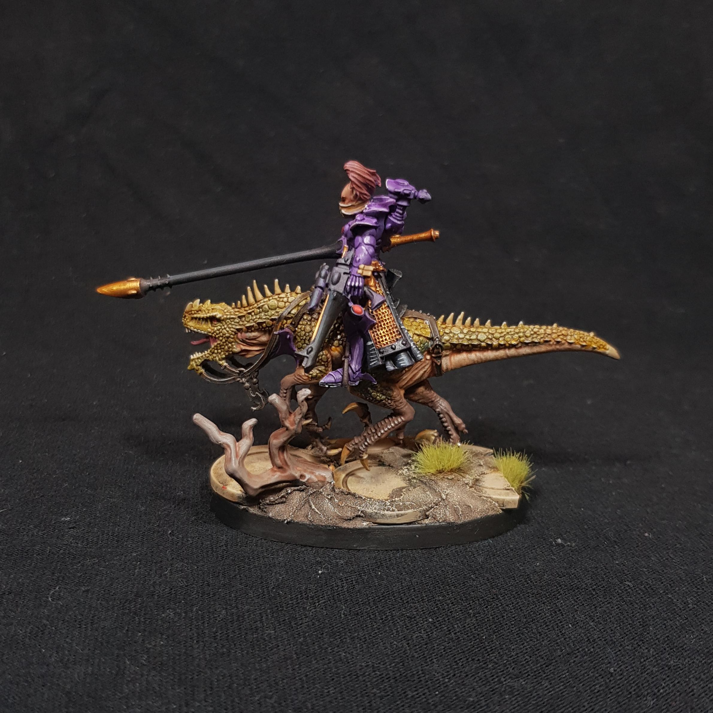 Aeldari, Conversion, Dragon Knights, Eldar, Exodites, Knights, Shining Spears