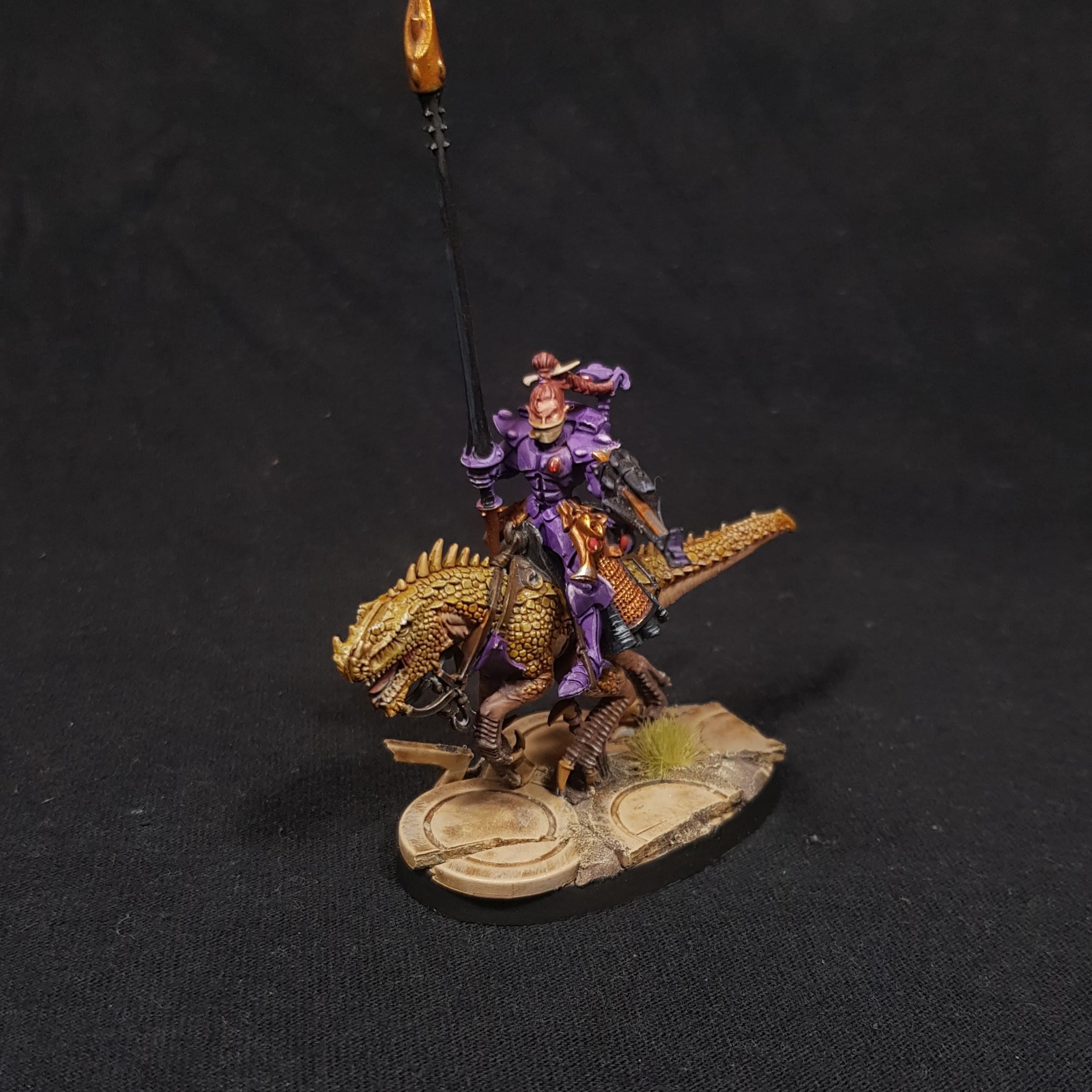 Aeldari, Conversion, Dragon Knights, Eldar, Exodites, Knights, Shining Spears