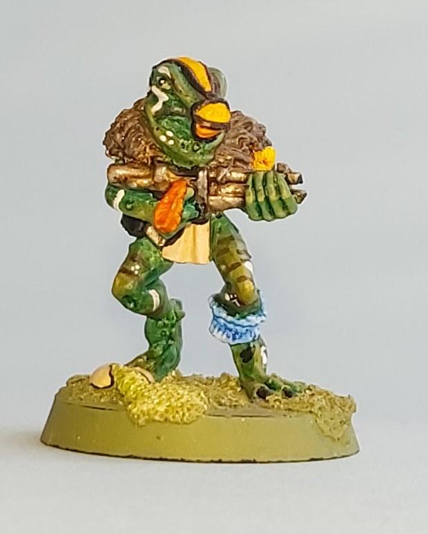 Frog, Rogue, Scoitz, Slann, Space, Trader