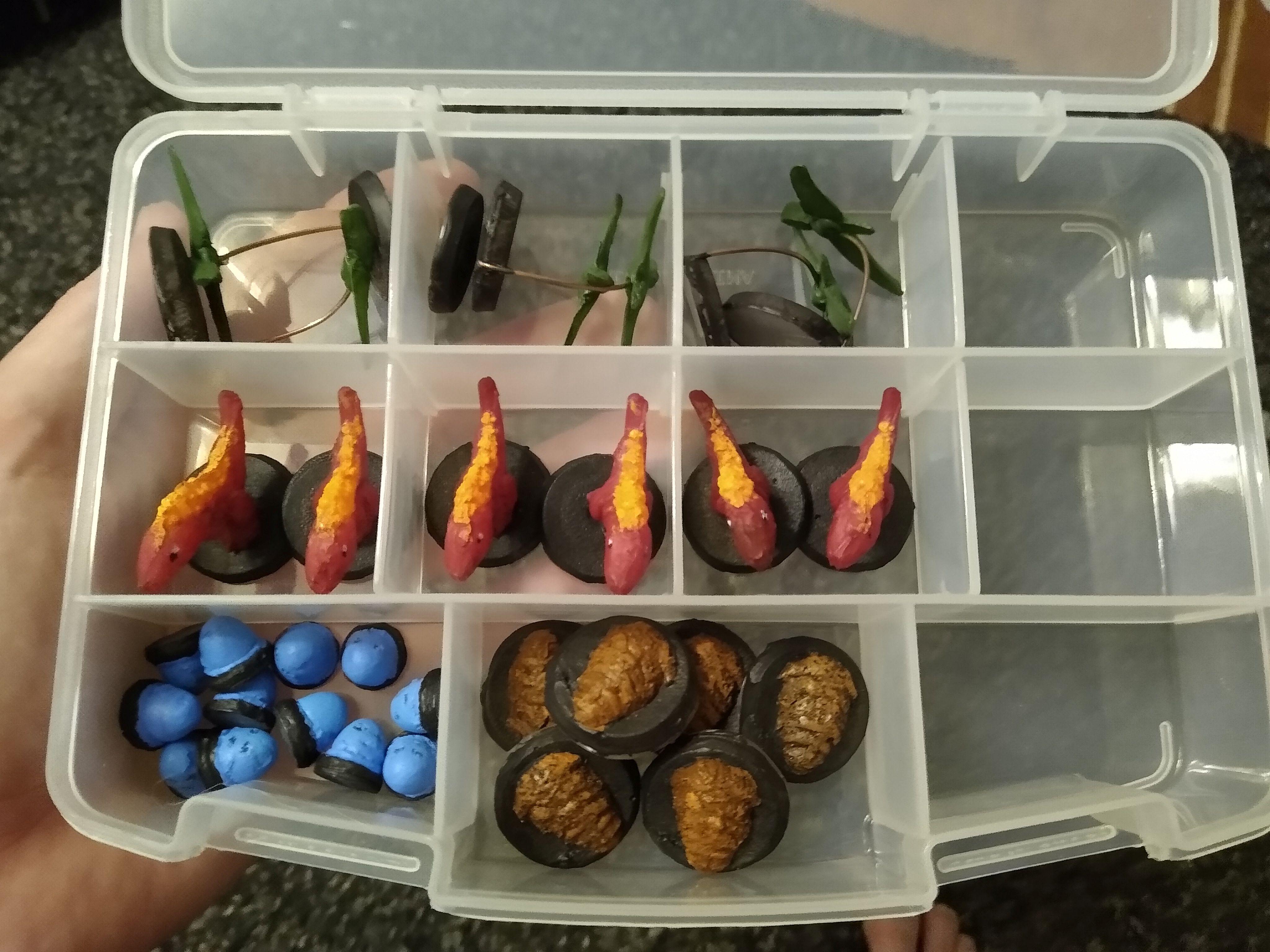 storage case