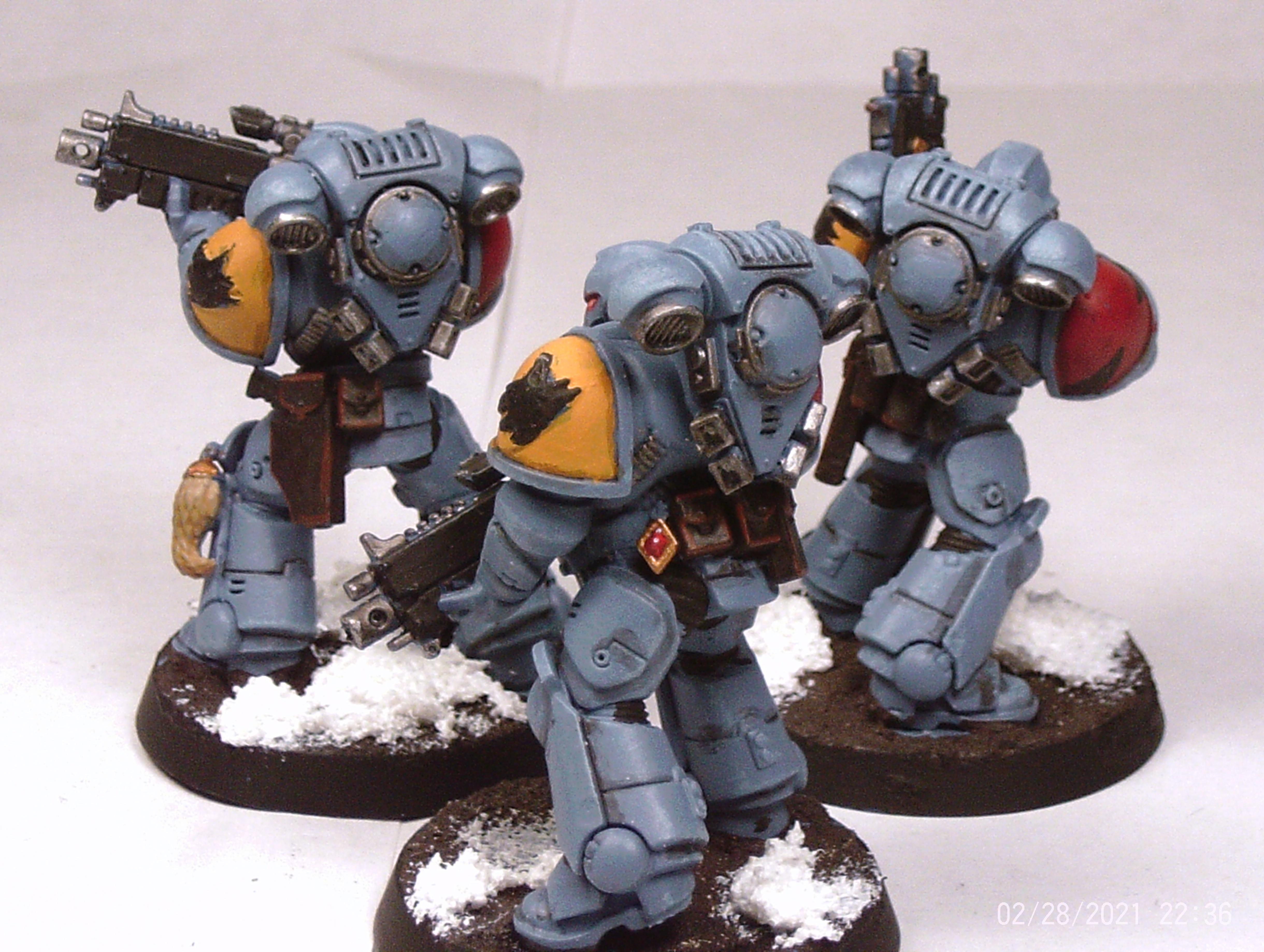 Intercessor Pack 1 Members Rear