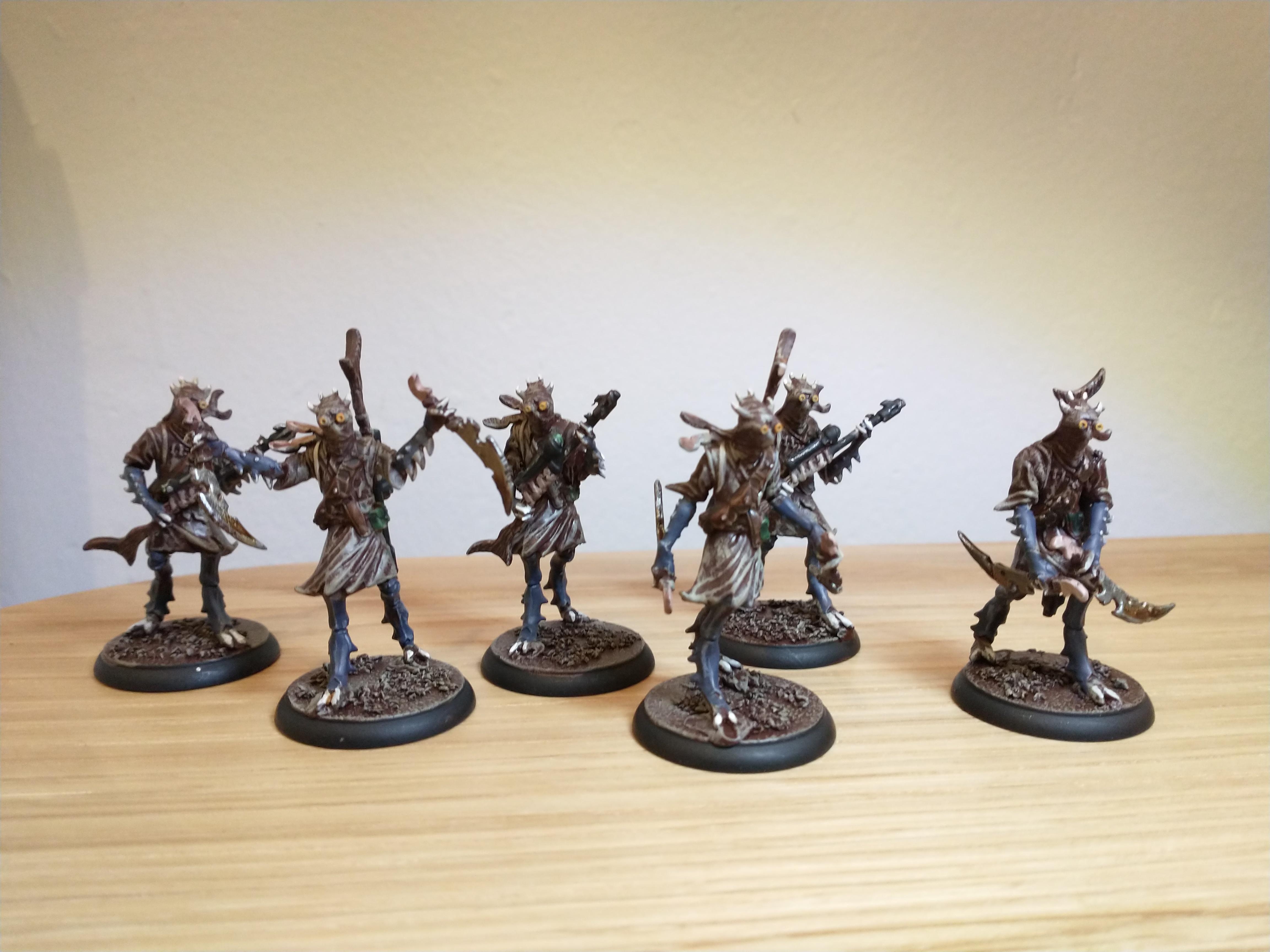 Wasteland Warriors