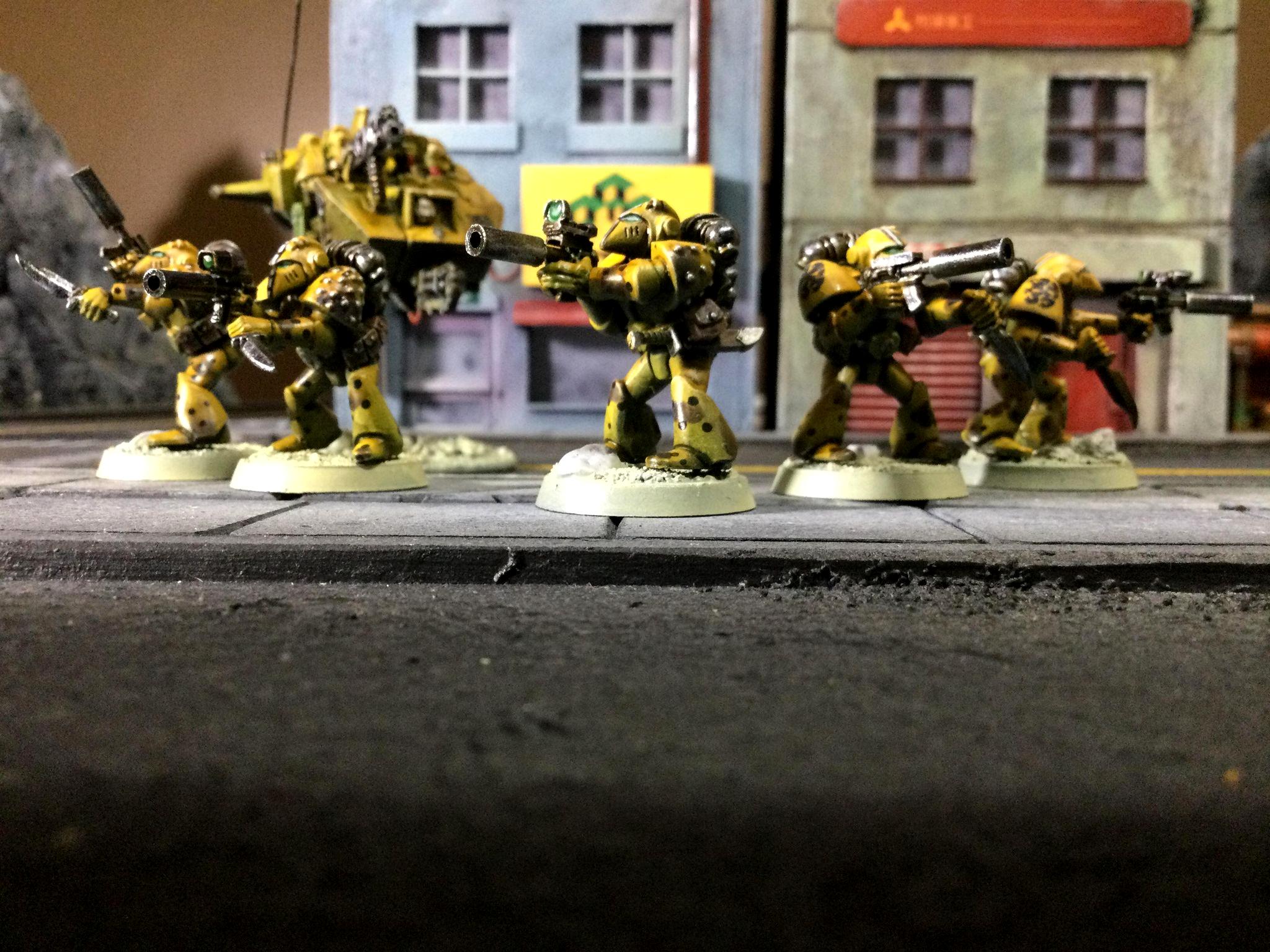 Howling Griffon, Rogue, Trader