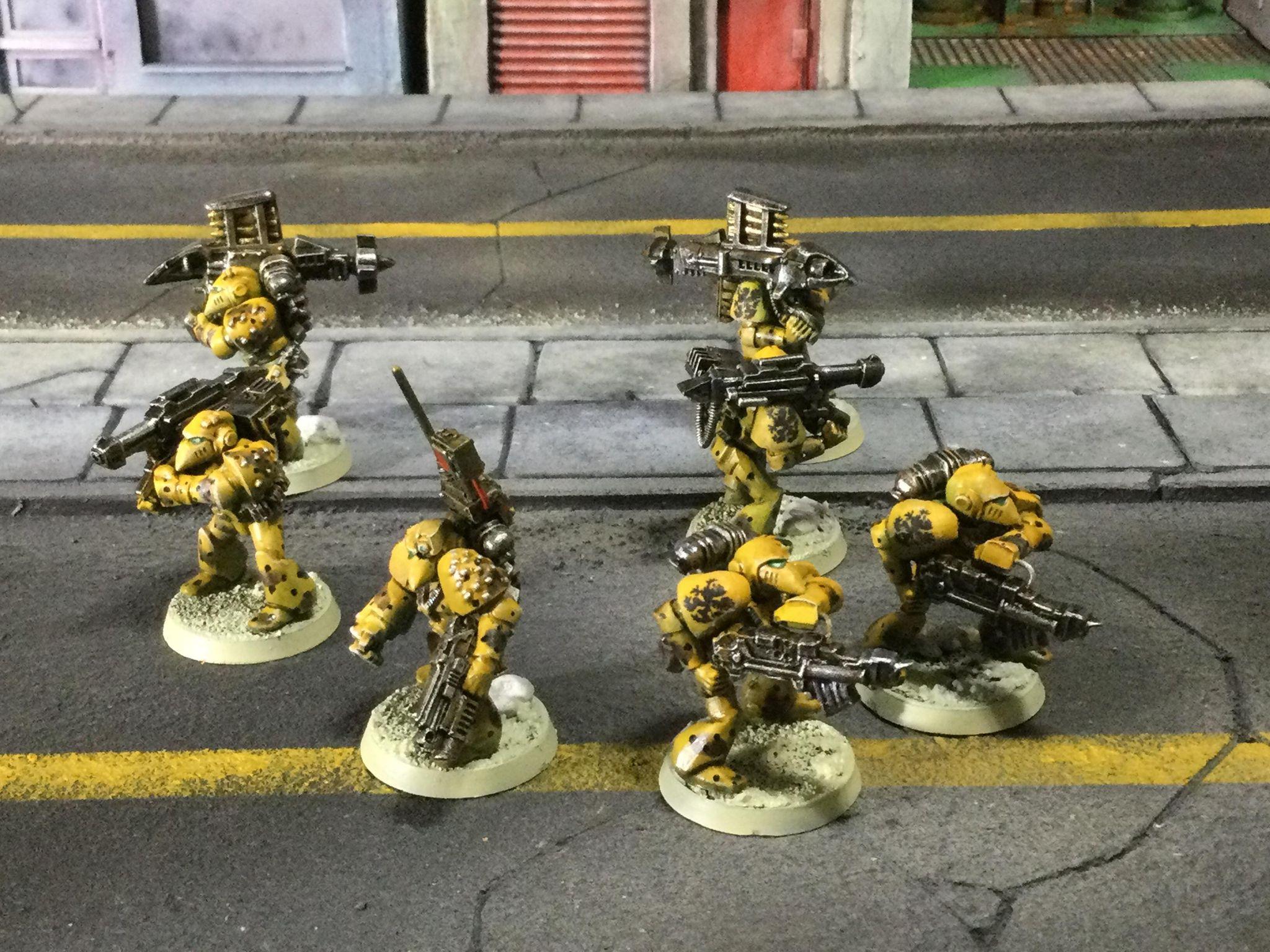 Devastator, Howling Griffon, Rogue, Trader
