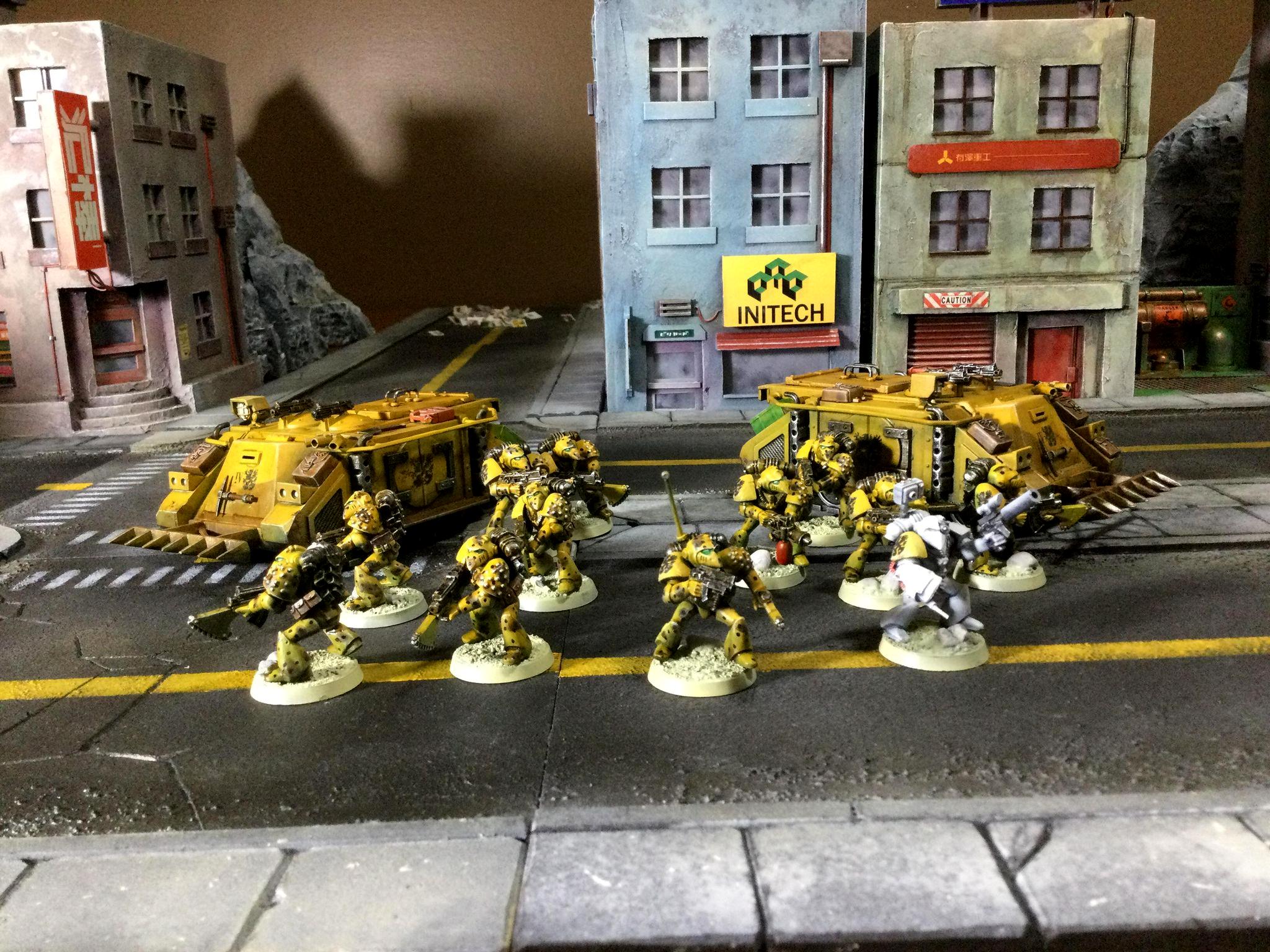 Howling Griffon, Rogue, Trader