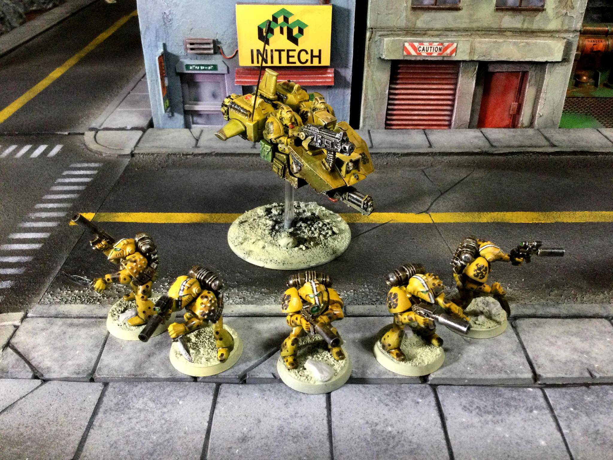 Howling Griffon, Rogue, Trader