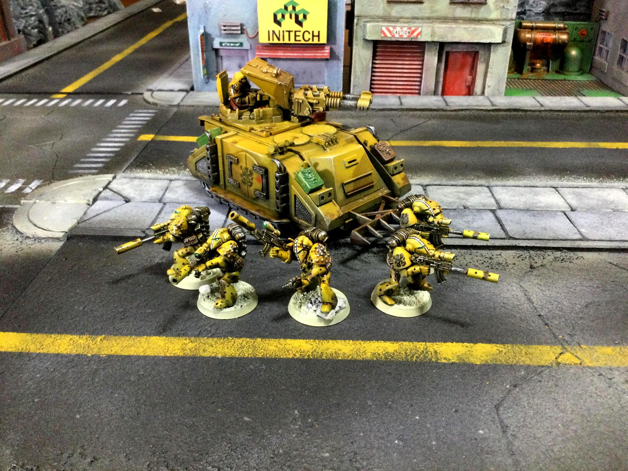 Howling Griffon, Rogue, Trader