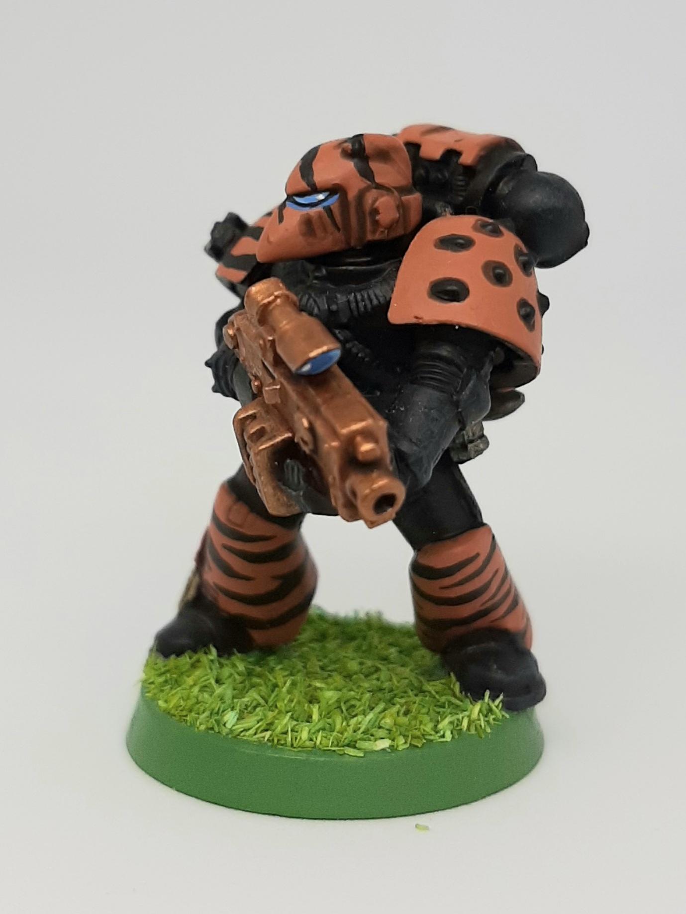 Adeptus, Ammo, Ammunition, Artificer, Astartes, Bolter, Boltgun, Camouflage, Conversion, Custom, Fighting, Forest, Ghuyarashtra, Issue, Jungle, Kitbash, Knife, Rounds, Space, Space Marines, Special, Sternguard, Tigers, Unique, Veda, Veteran