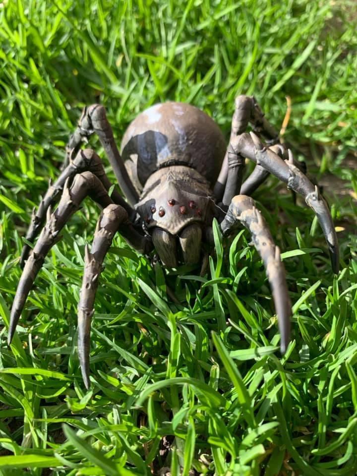 Darklands, Gol Gul Barrow Spider, Miercie Miniatures