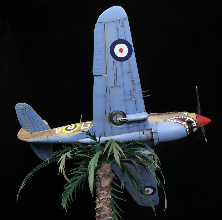 1:48, Desert Air Force, Diorama, P-40c, Raf, Tomahawk Mk.iic