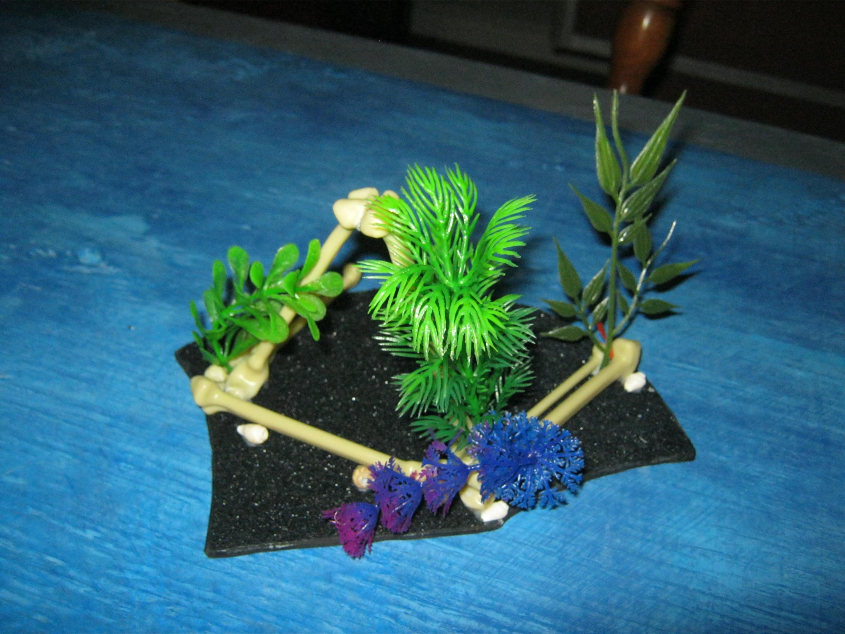 Terrain, Water