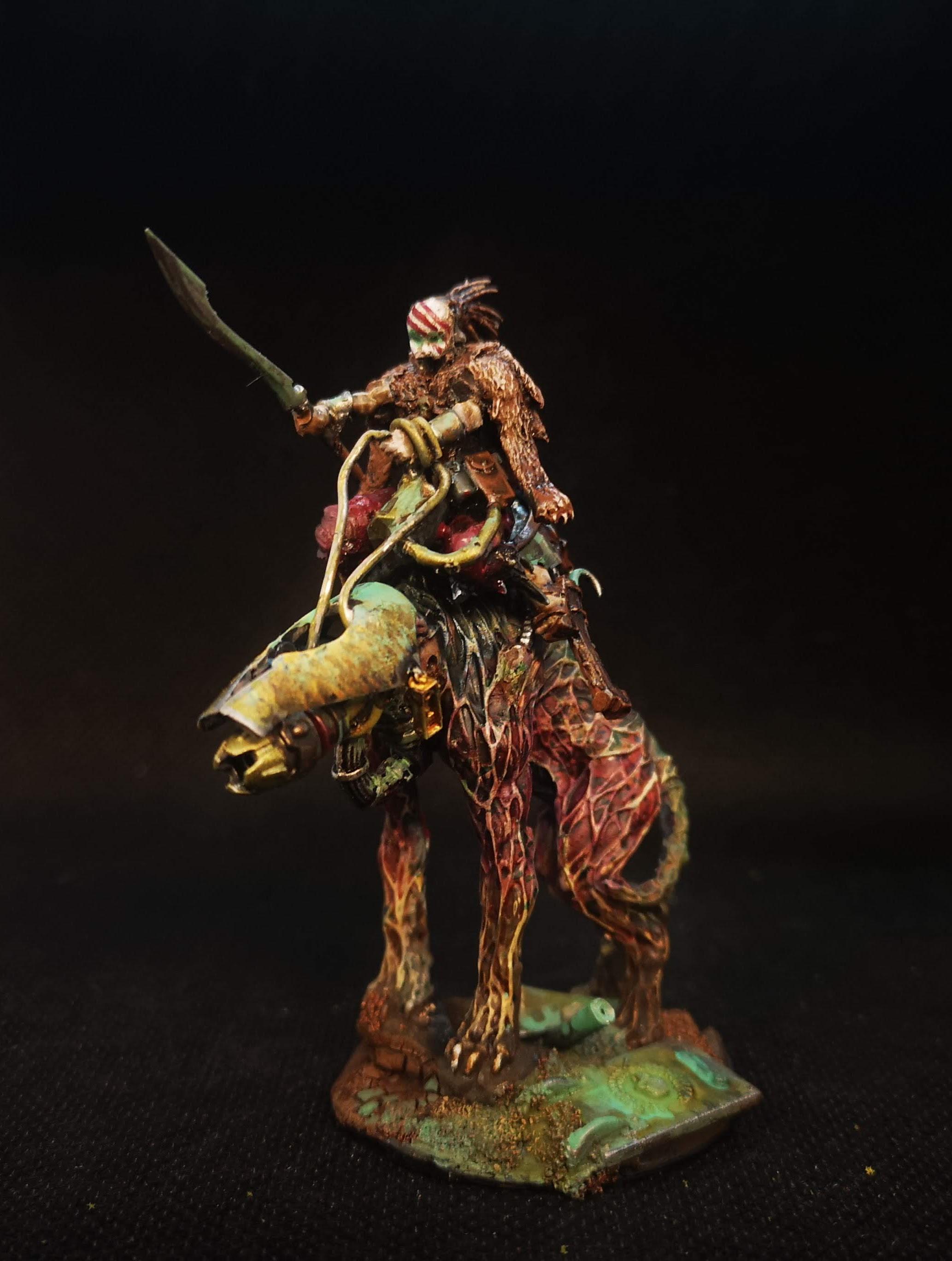 The Rider
