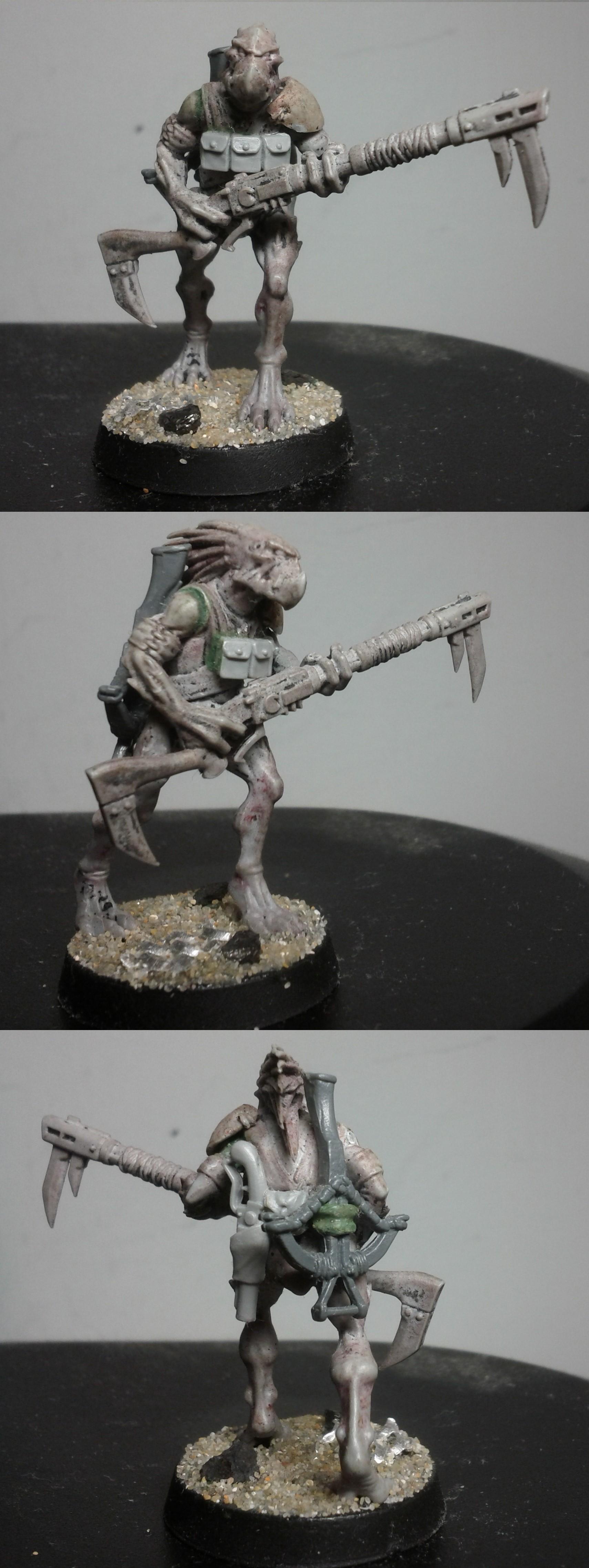 Conversion, Kroot, Tau