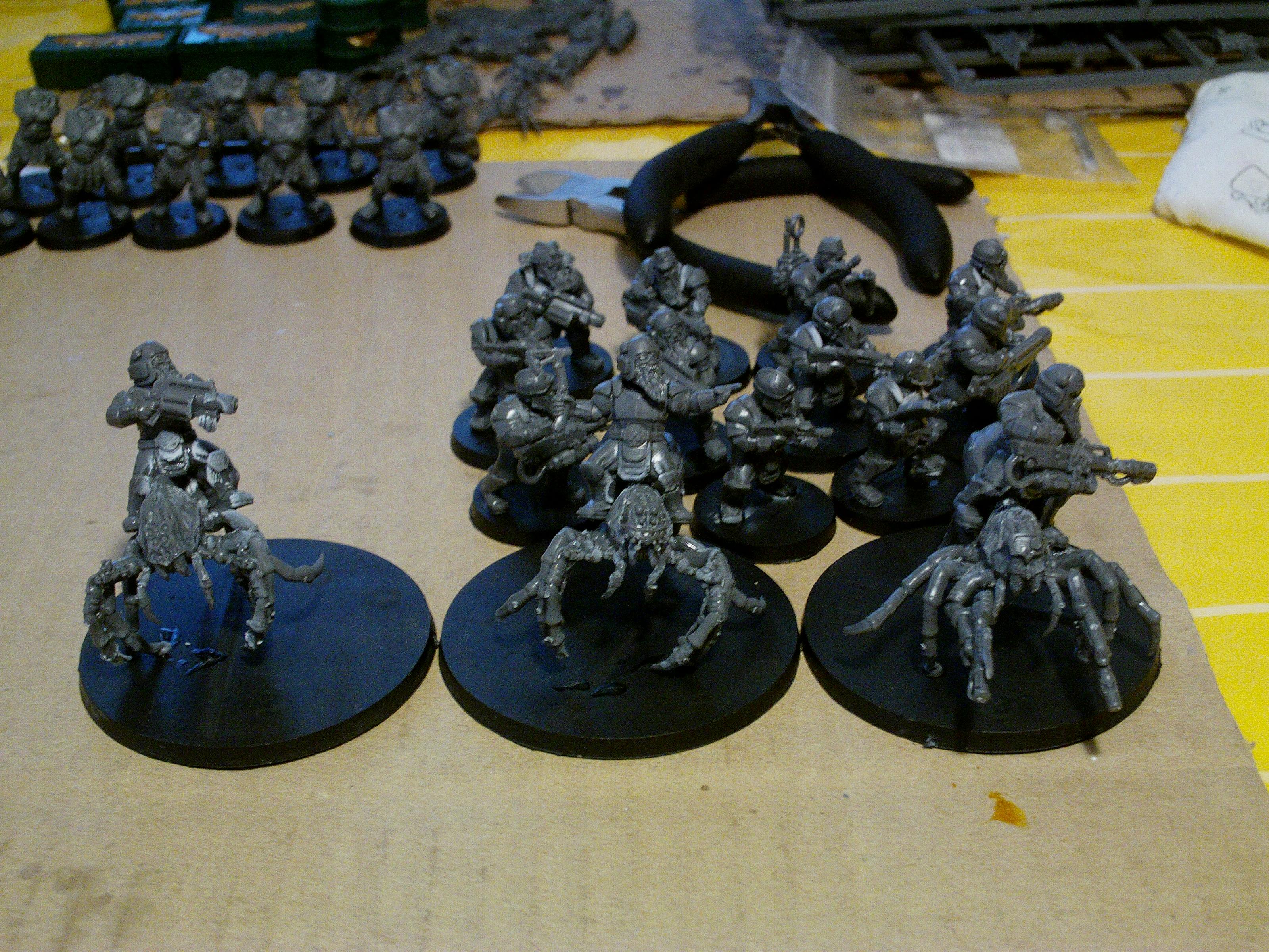 Cornelivs Maximvs, Imperial Guard