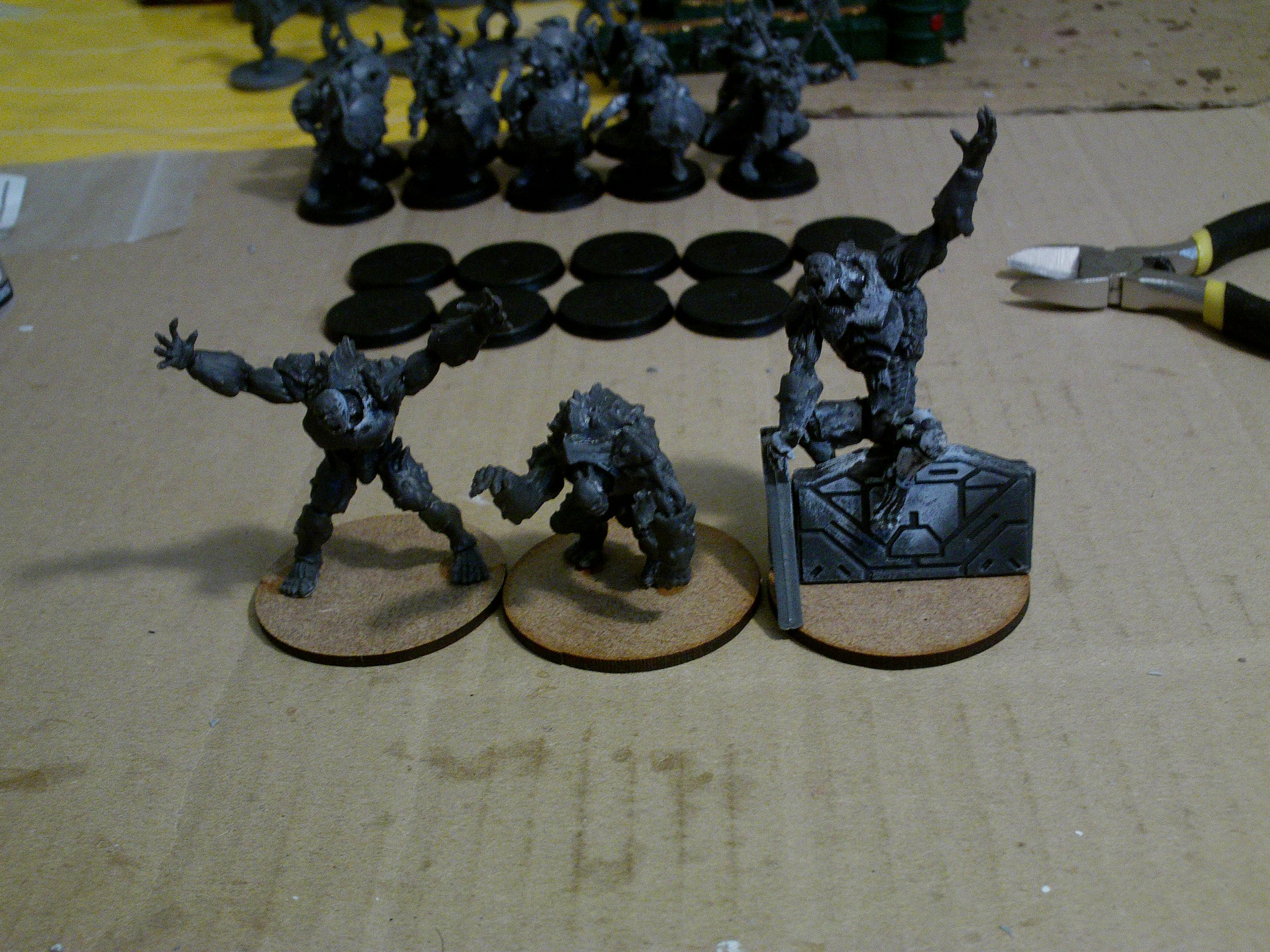 Cornelivs Maximvs, Imperial Guard