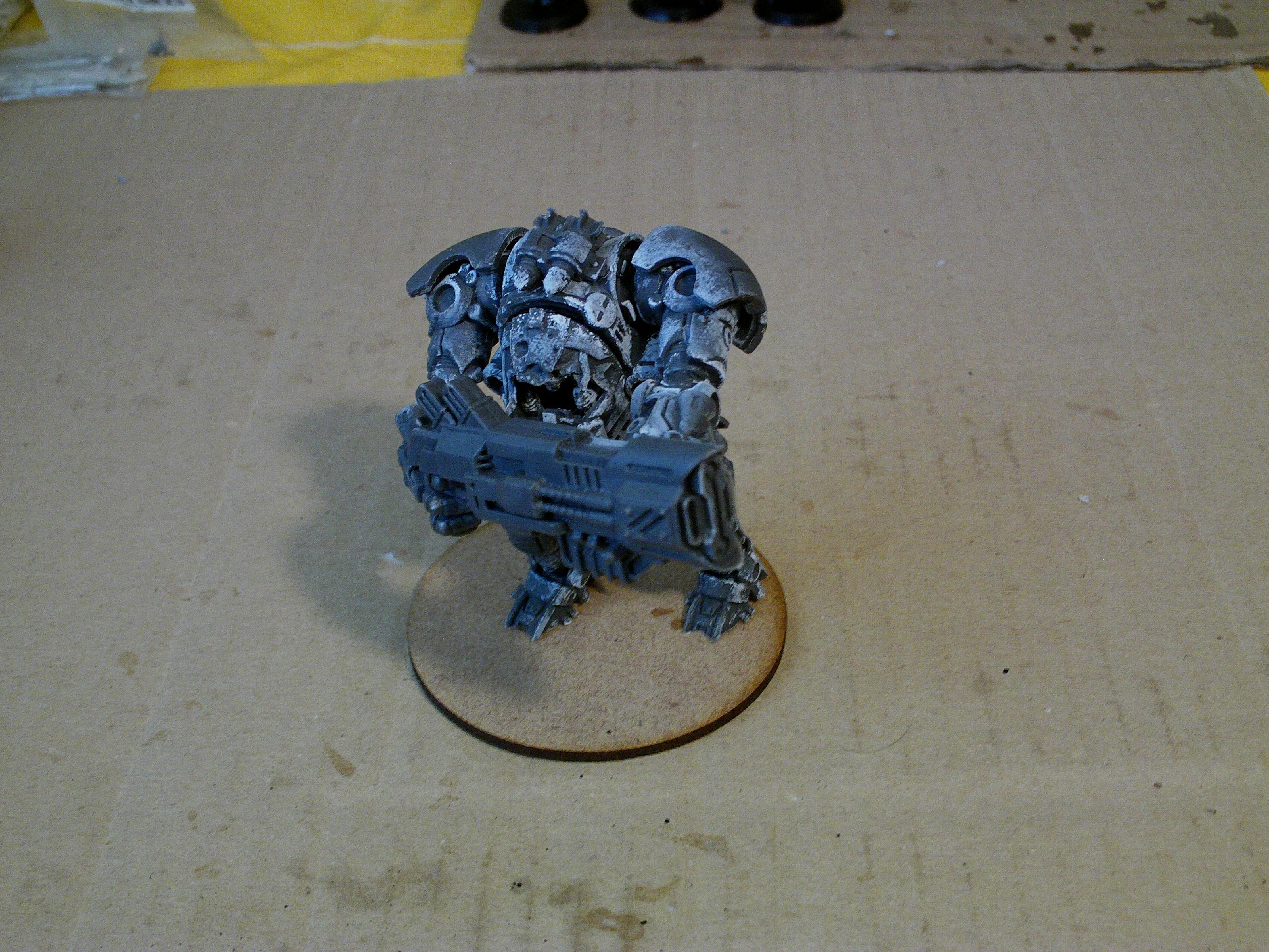 Cornelivs Maximvs, Imperial Guard