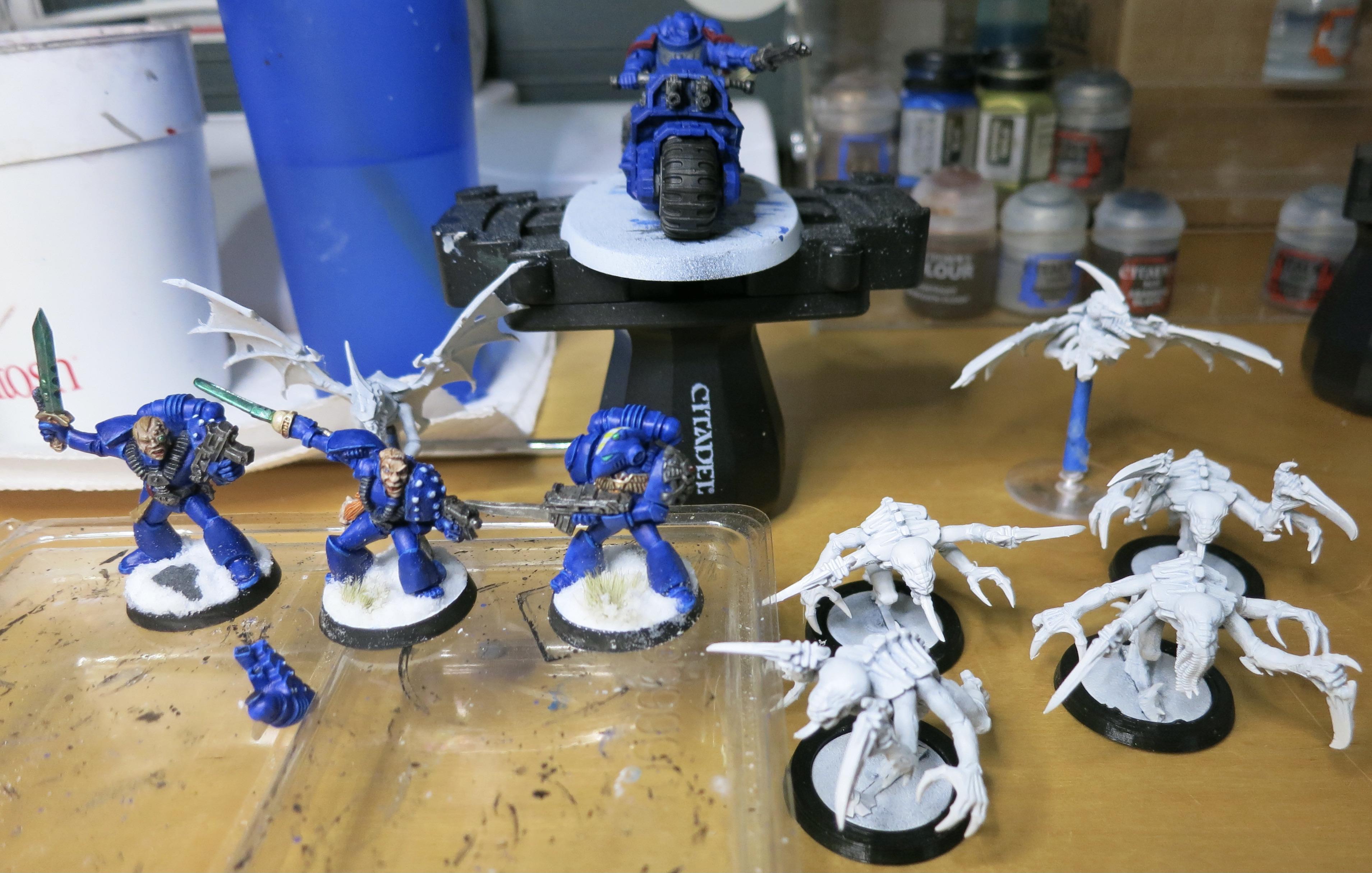 wip 5-28