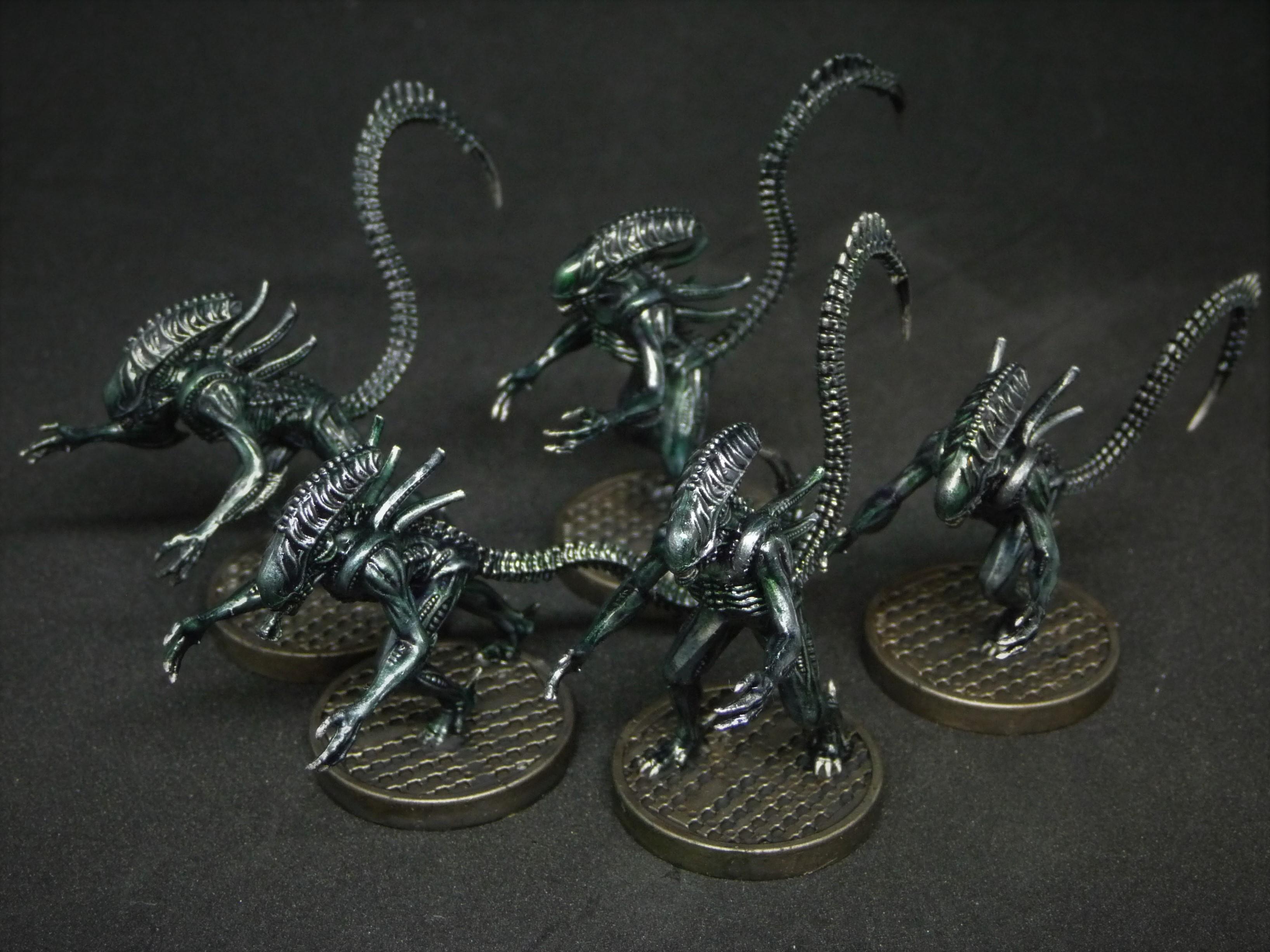 Aliens, Another Glorious Day In The Corps!, Xenomorph