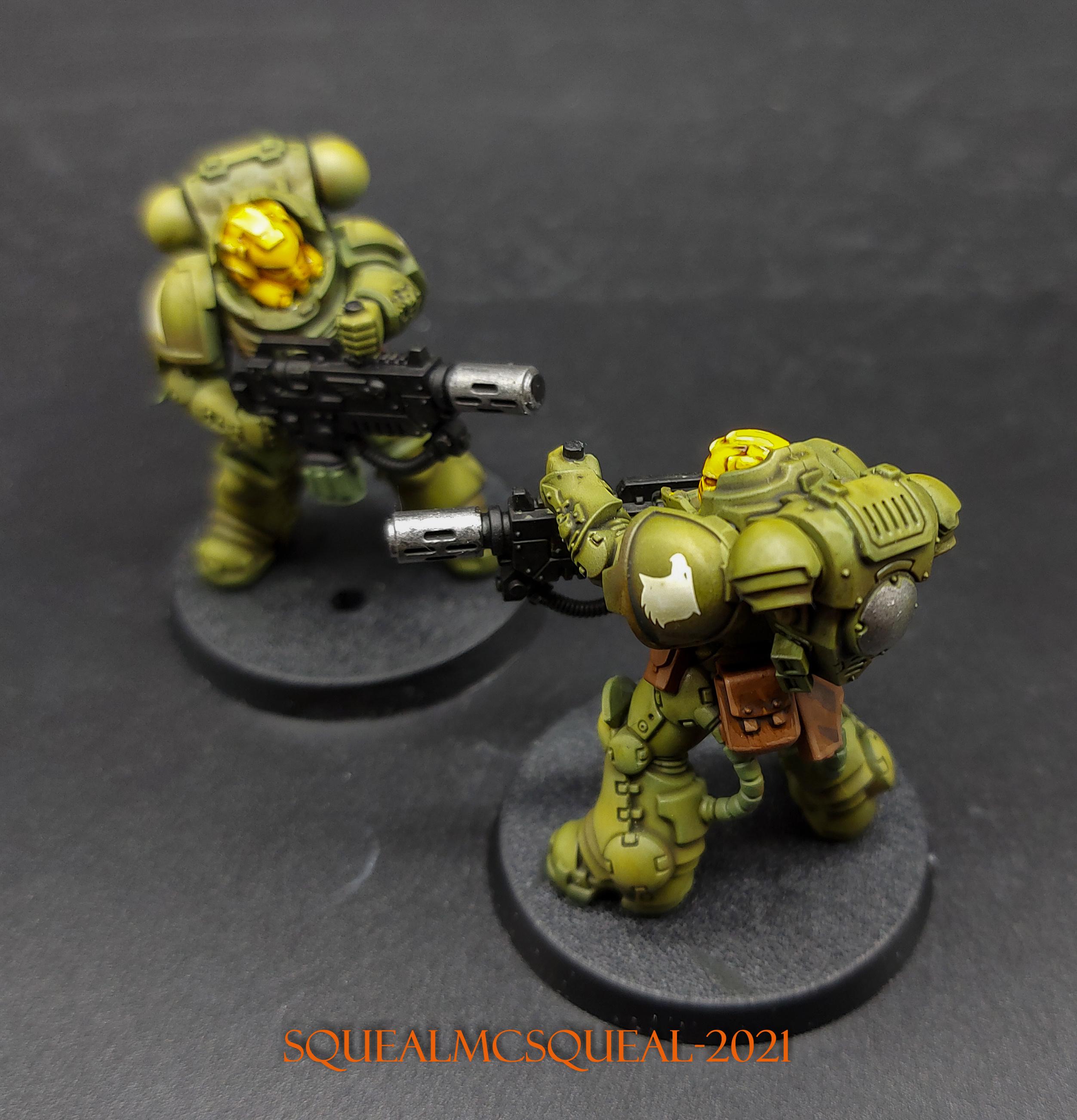 Raptors - Batch Paint - 4-1