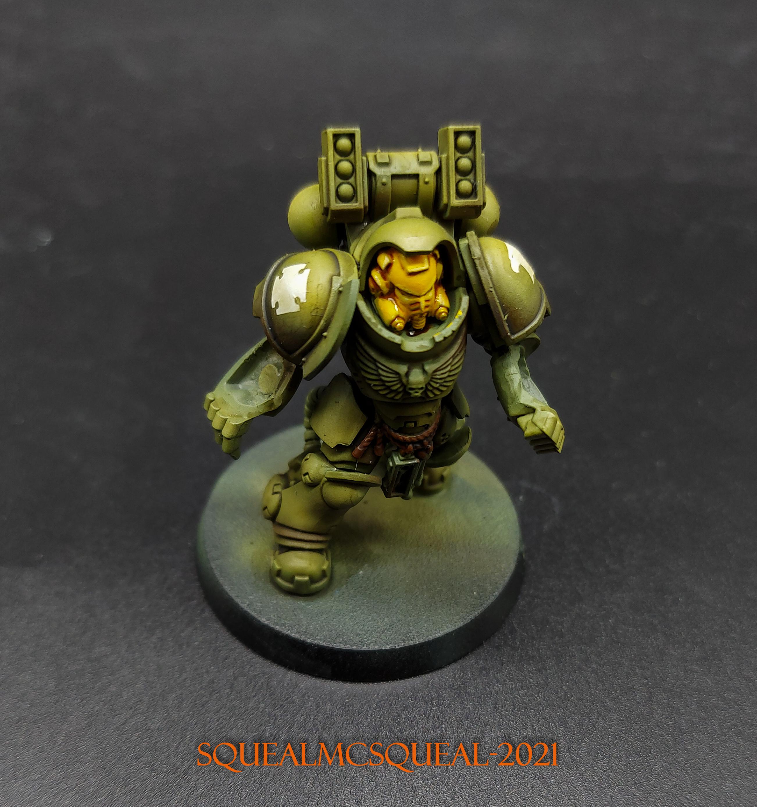 Raptors - Batch Paint - 4-1