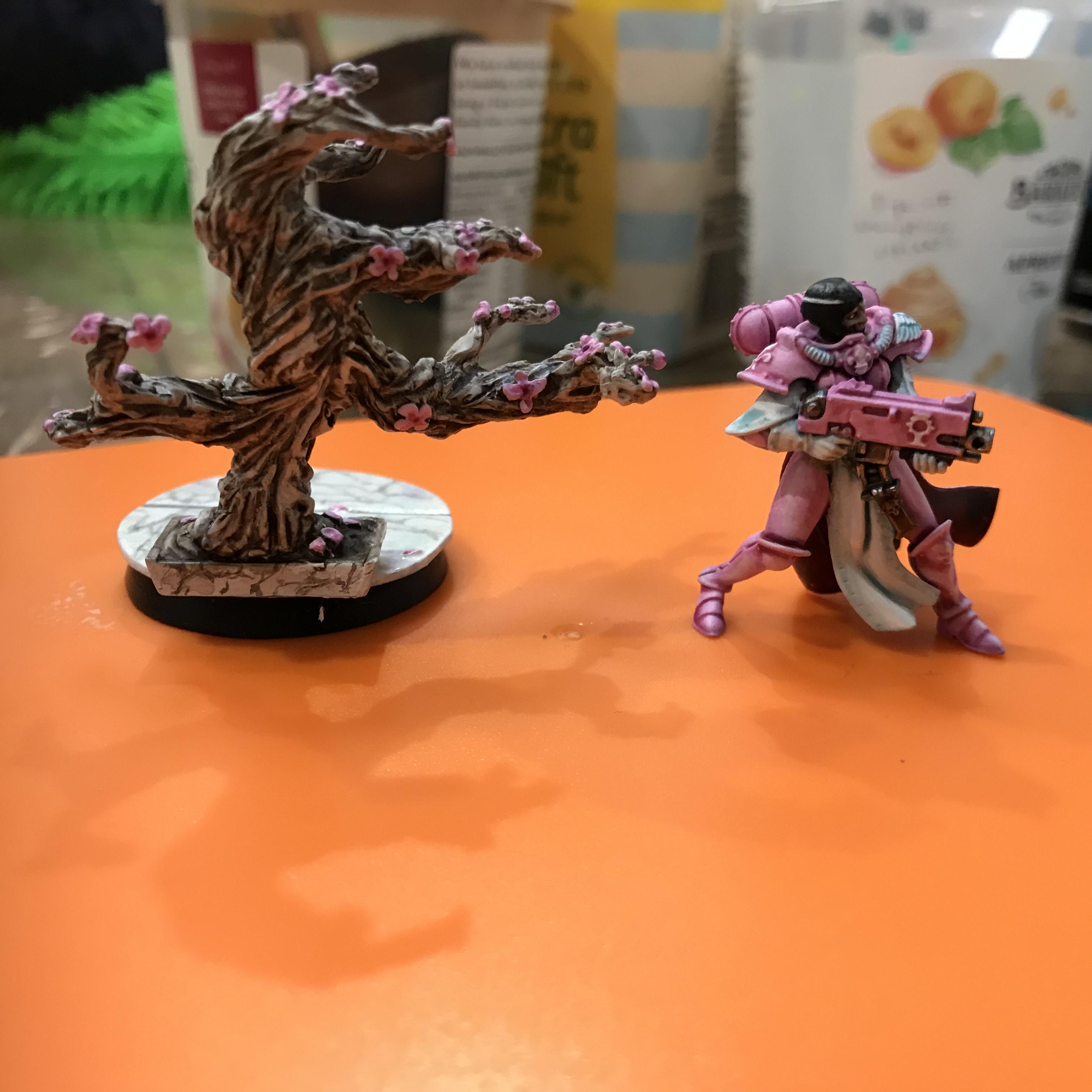 Adeptus Sororitas, Model Of The Month, Order Of Falling Blossoms, Sakura, Sisters Of Battle