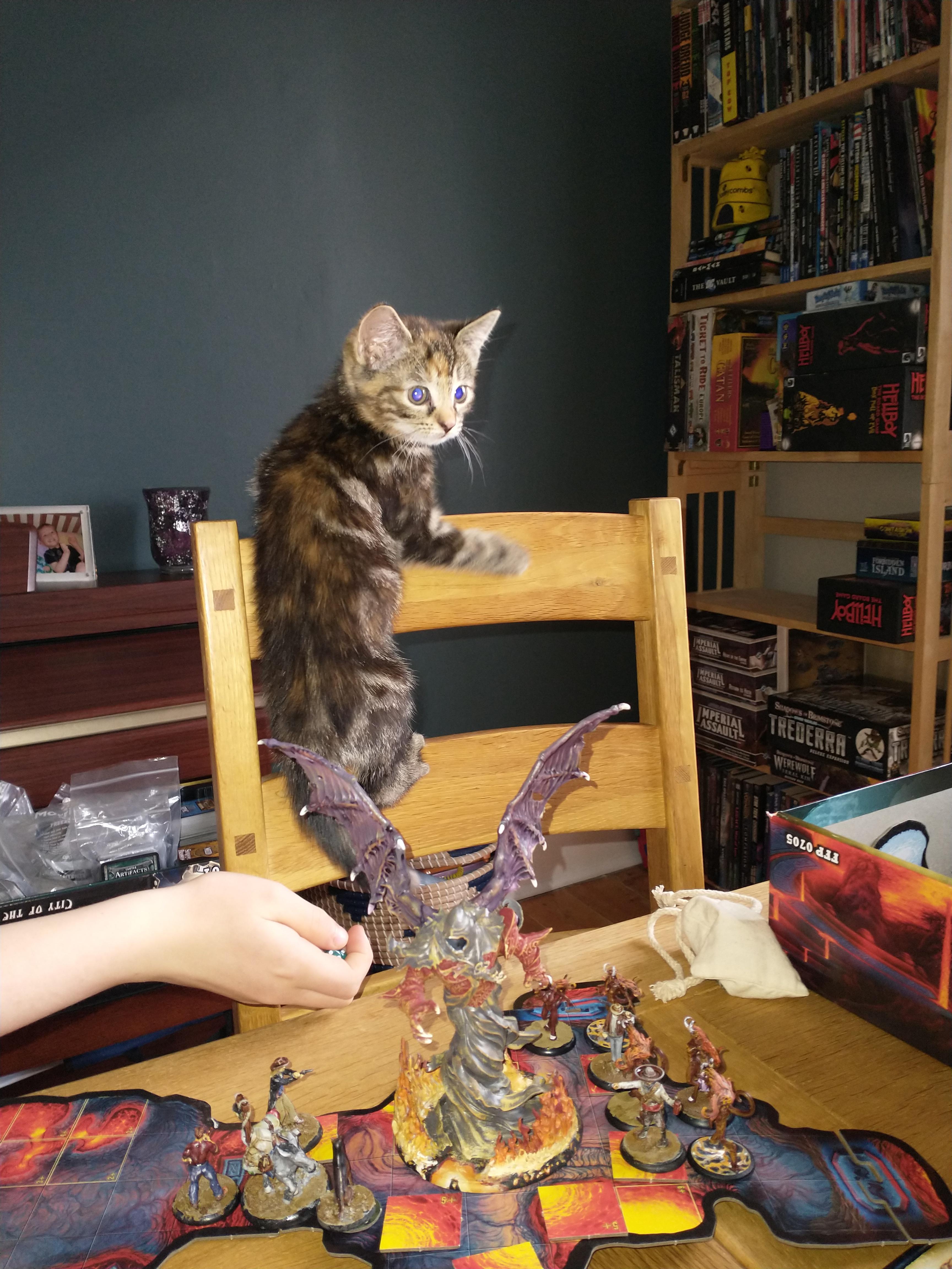 Meowthra attack!