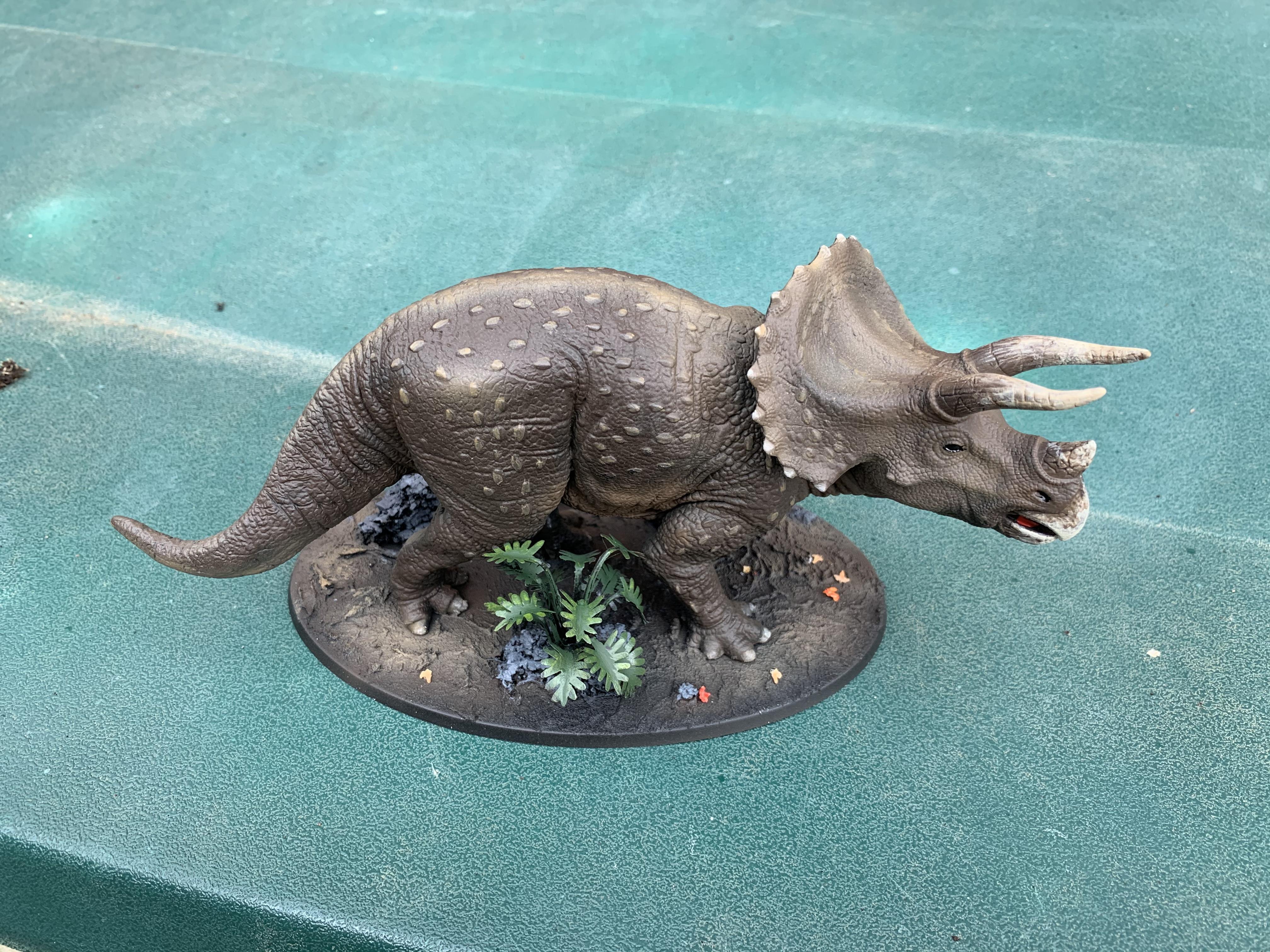 Triceratops