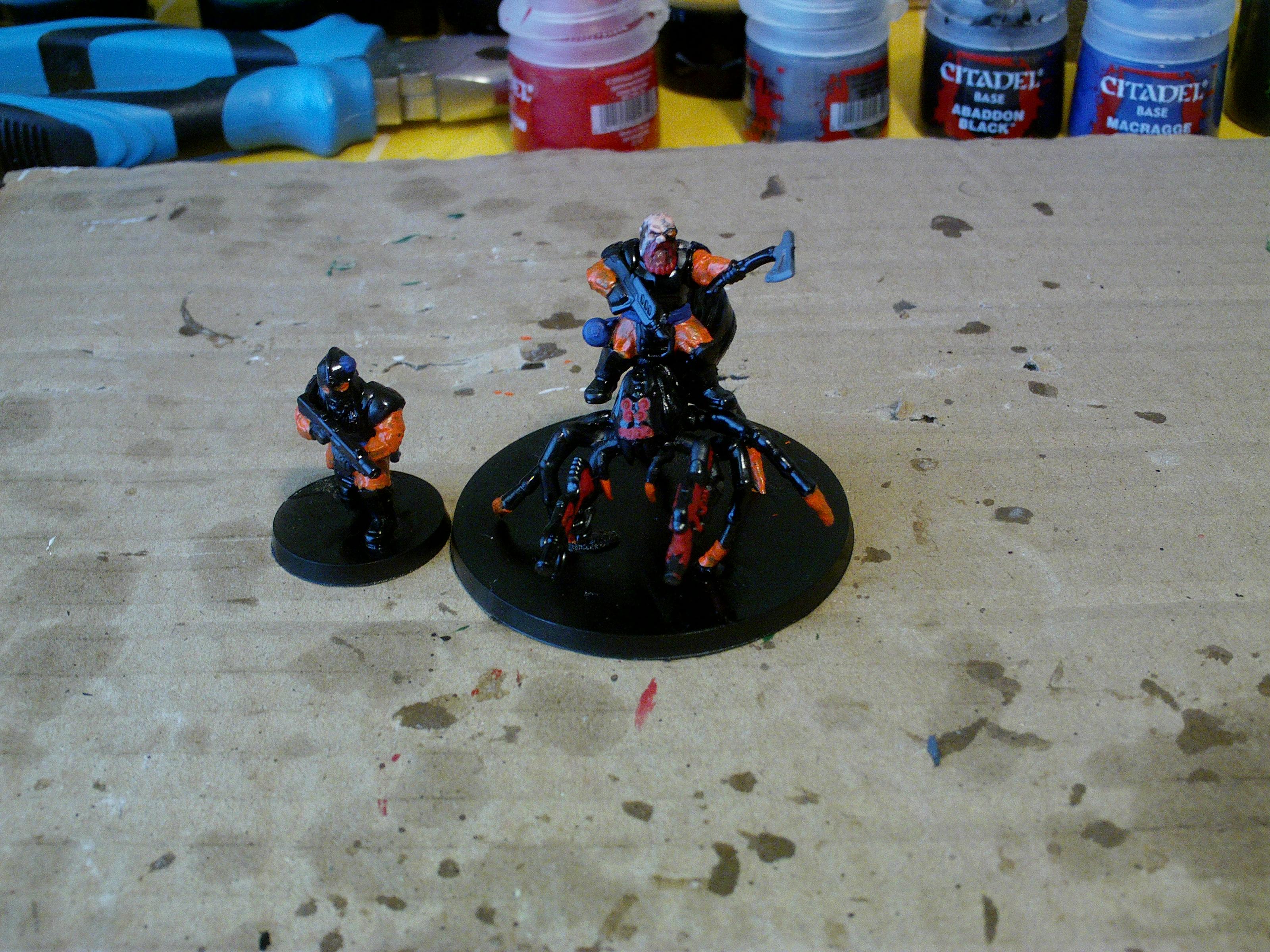 Dwarves test models