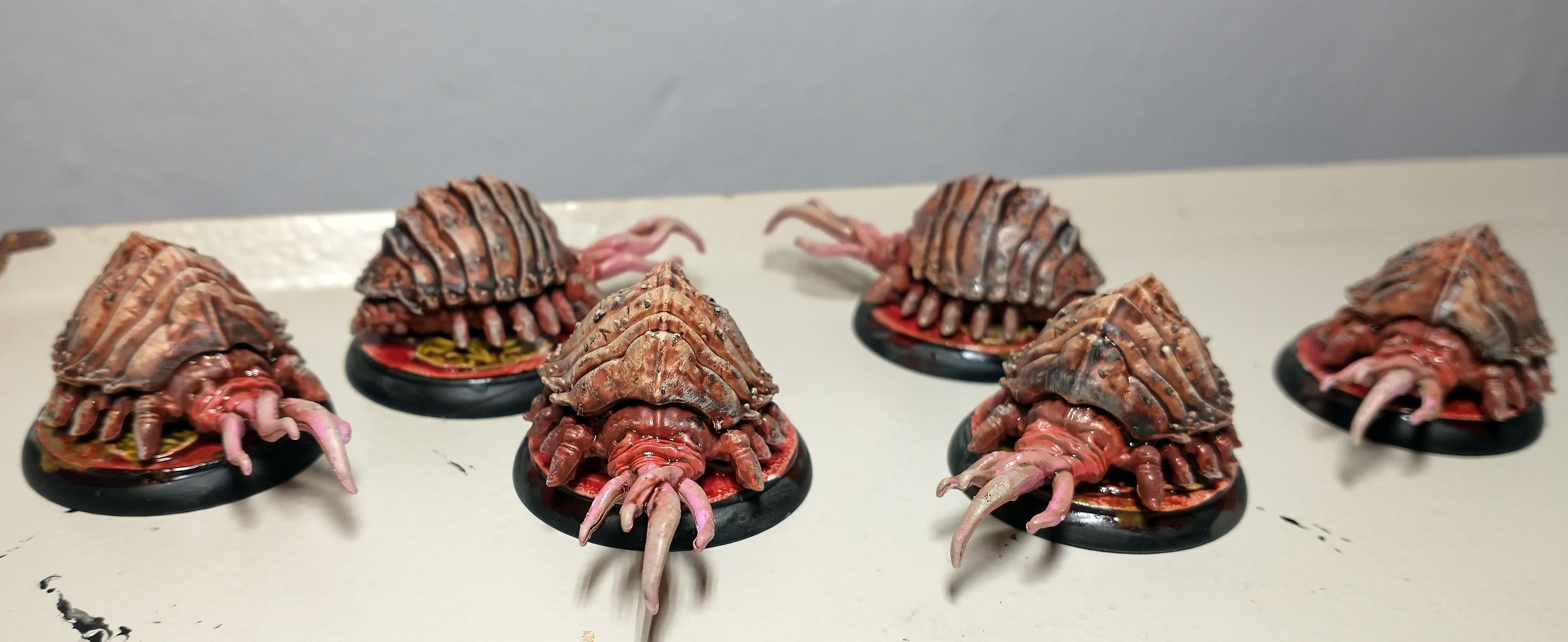 Flesh Mites