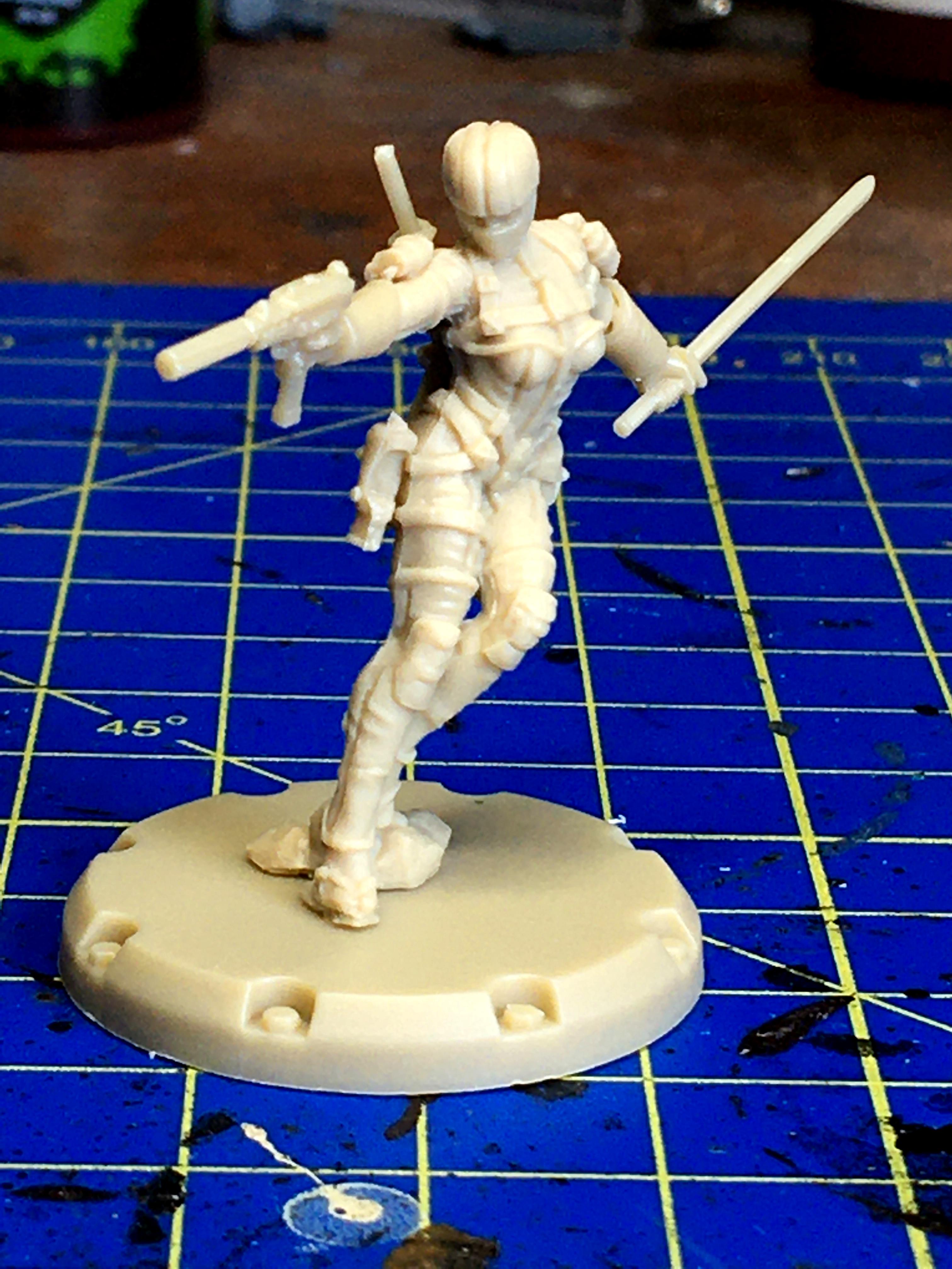 IJN Ninja (from the box)