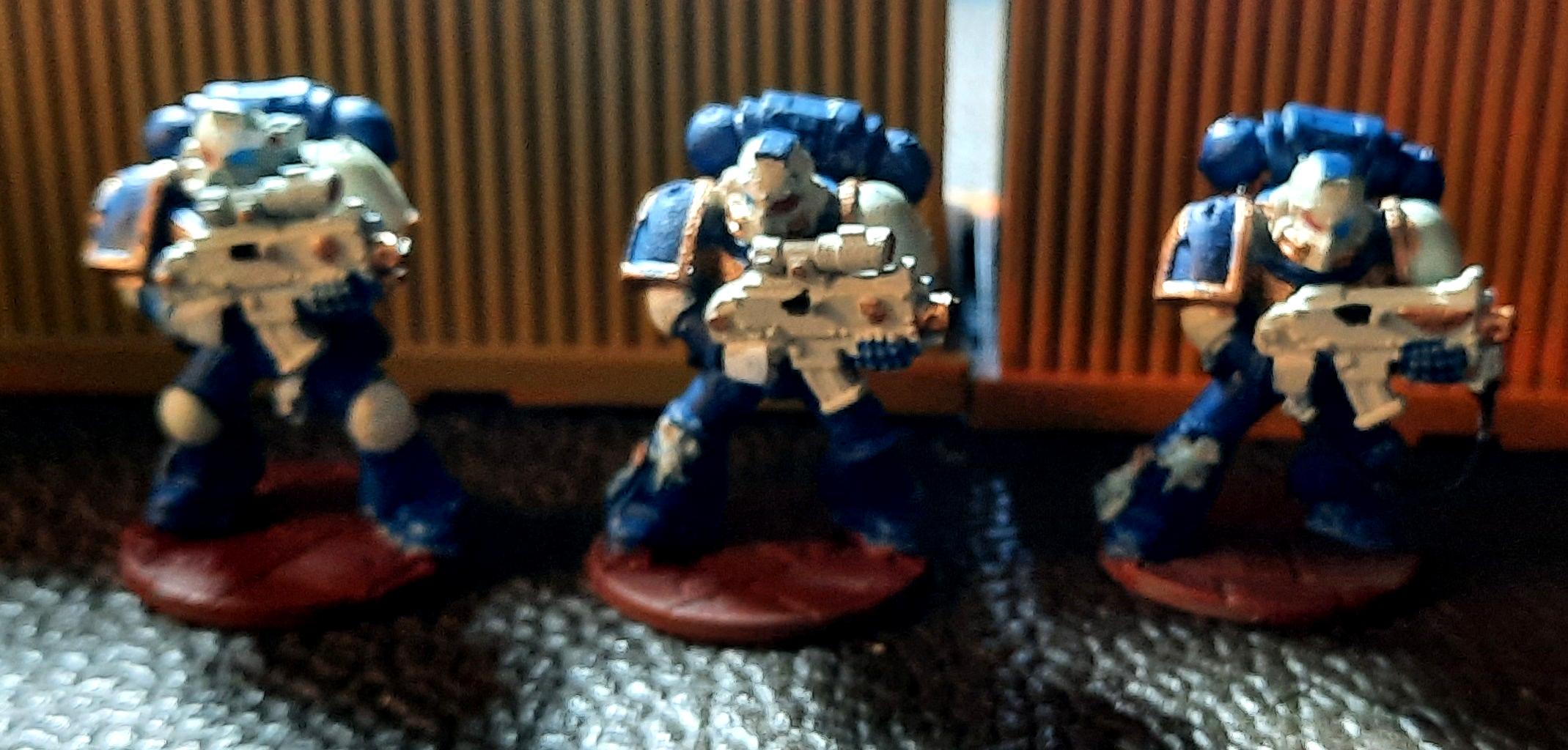 Adeptus Arbites, Space Marines