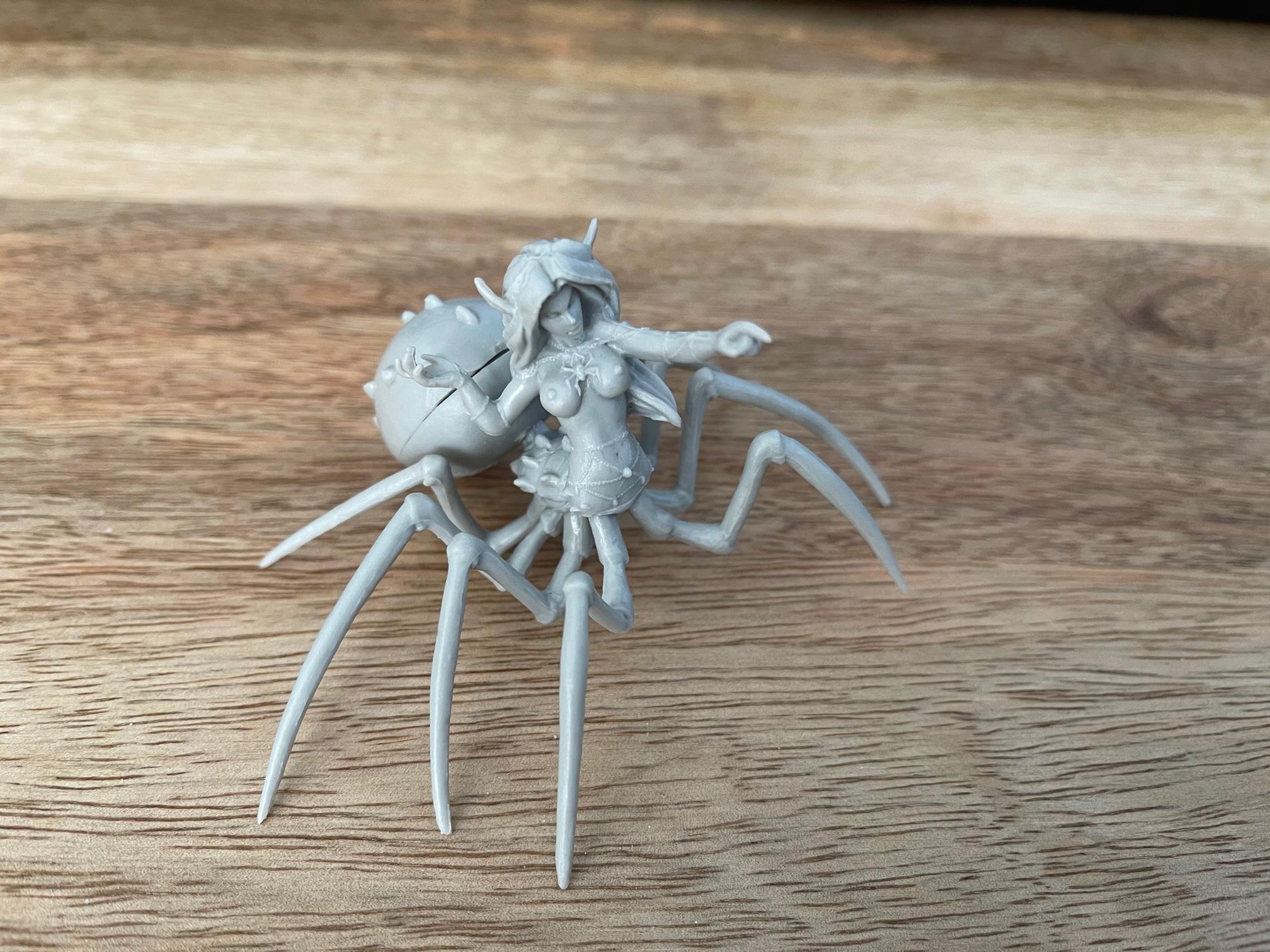 Dungeons And Dragons, Spider, Work In Progress
