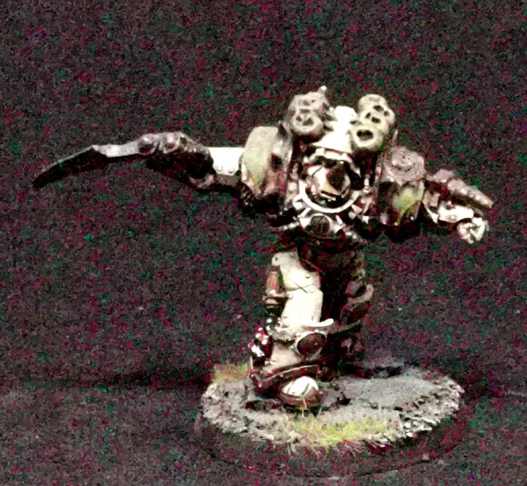 Typhus